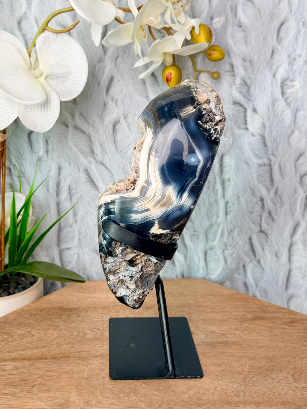 Blue Orca Agate Geode with Botryoidal Chalcedony