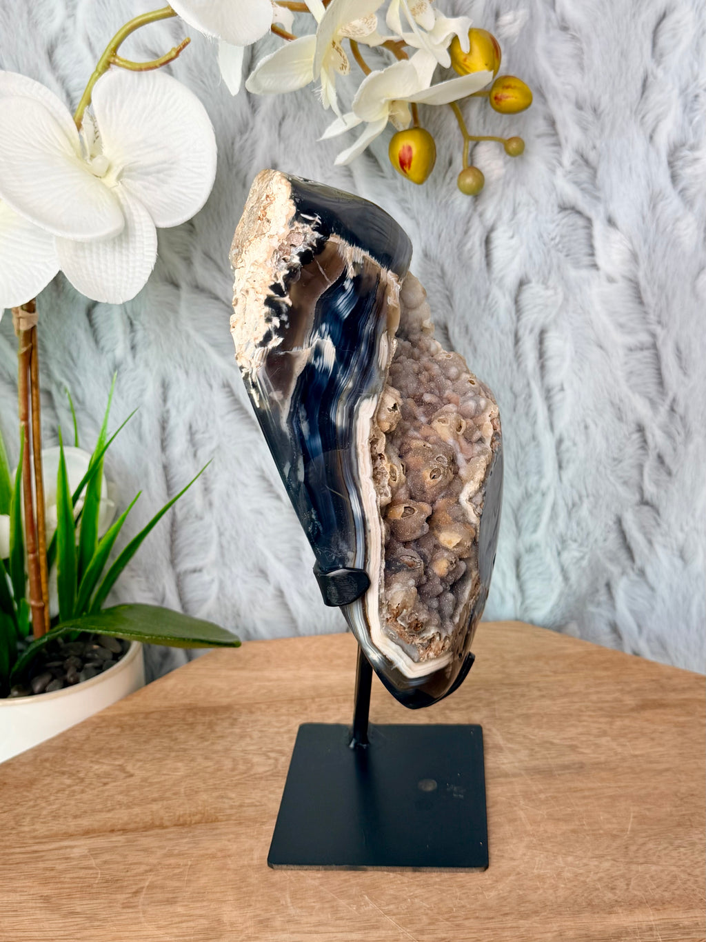 Blue Orca Agate Geode with Botryoidal Chalcedony