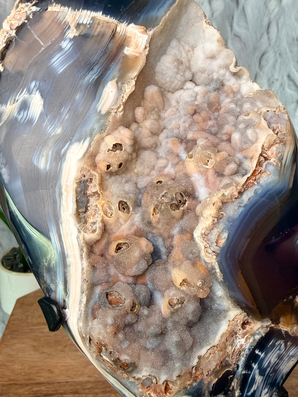 Blue Orca Agate Geode with Botryoidal Chalcedony