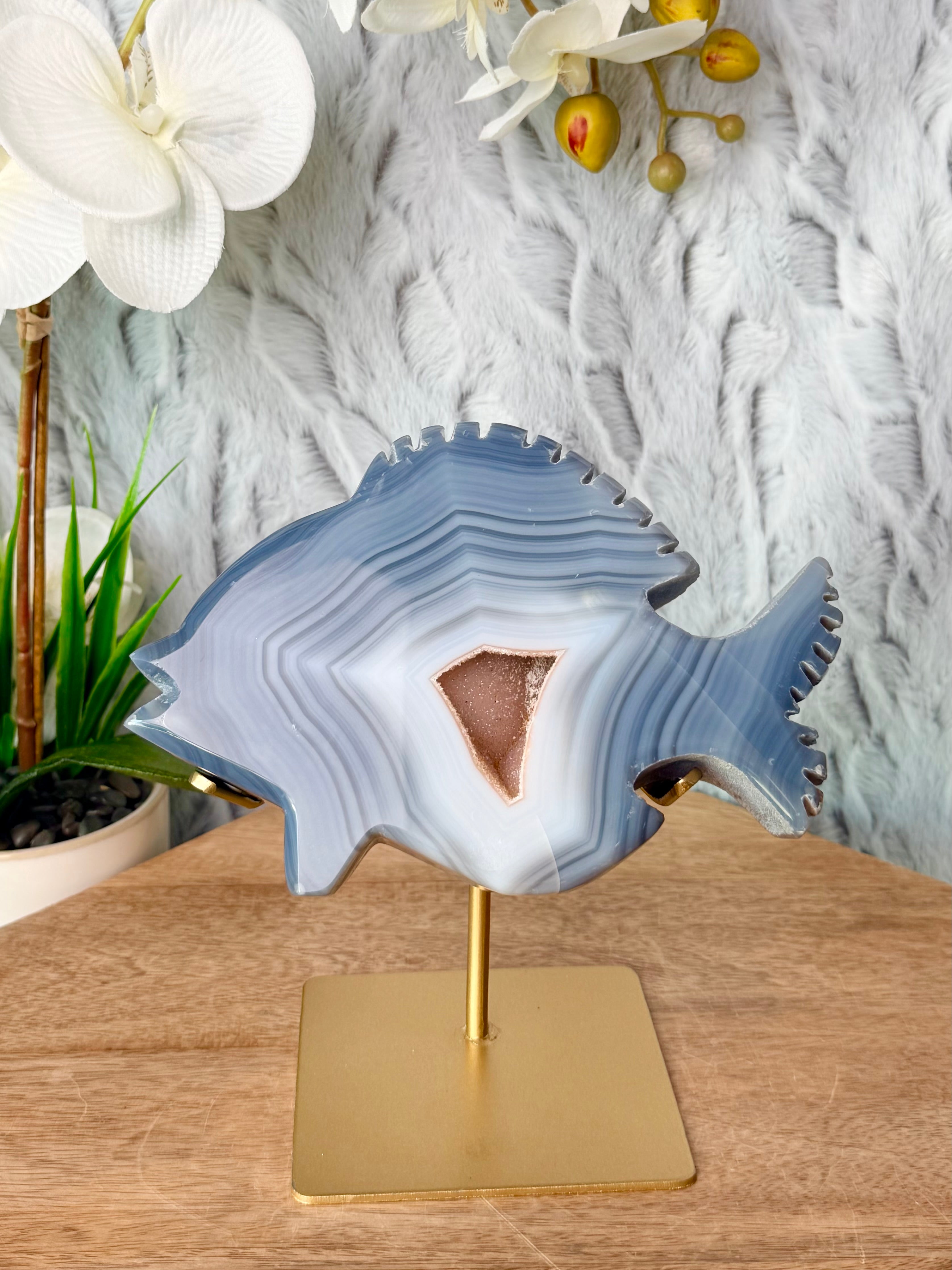 Agate Fish Carving with Rainbow Amethyst Druse