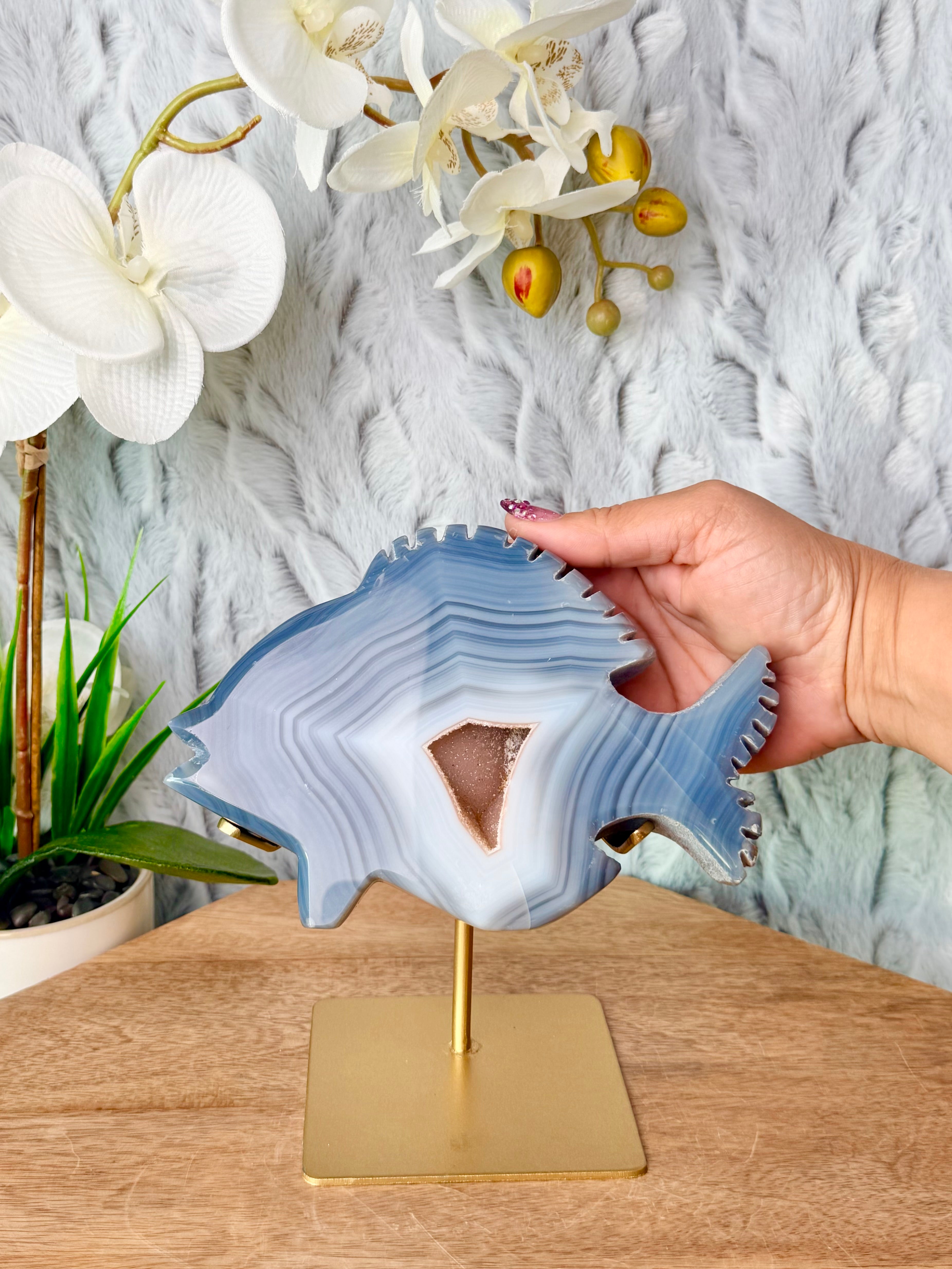 Agate Fish Carving with Rainbow Amethyst Druse