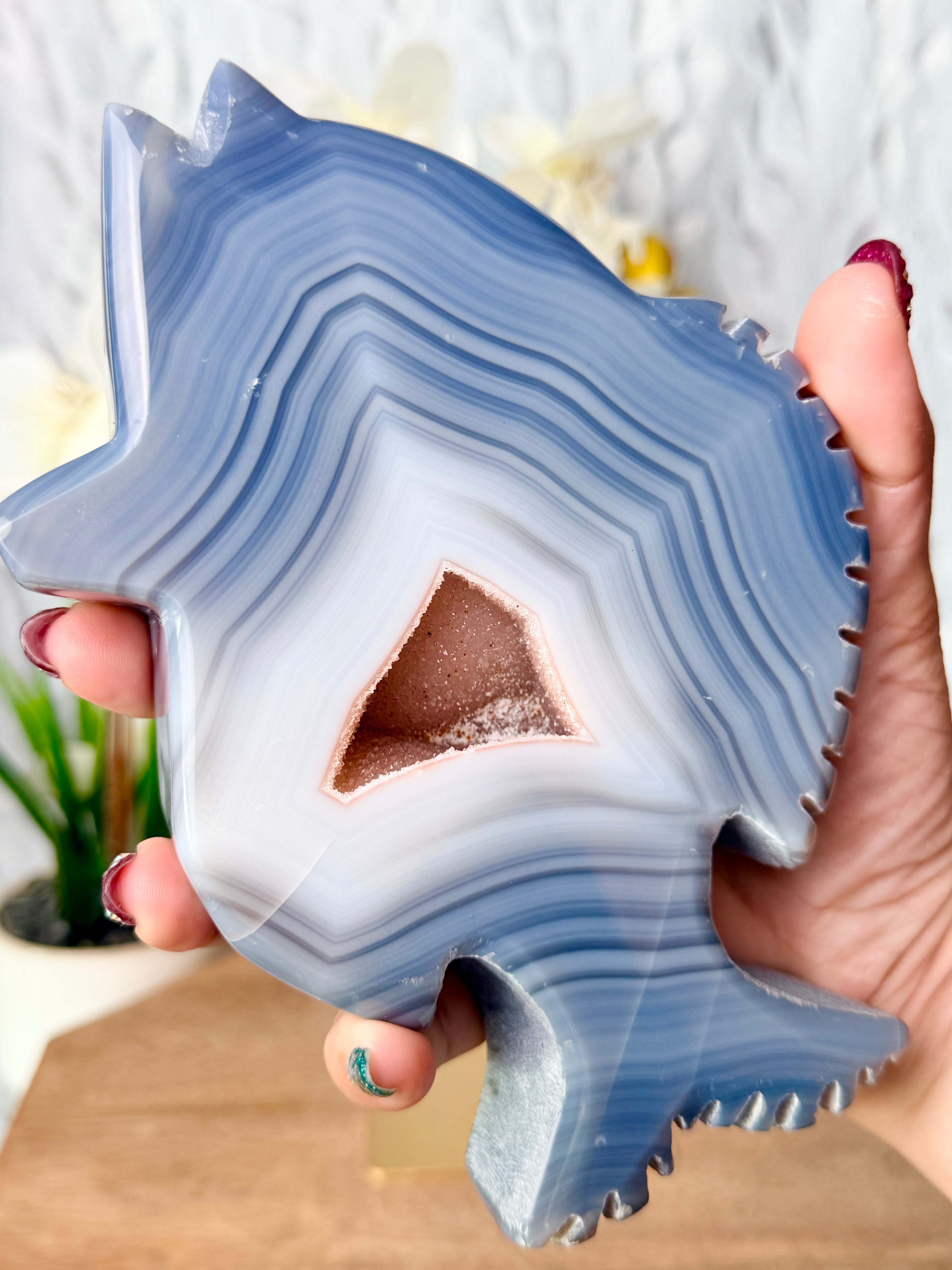 Agate Fish Carving with Rainbow Amethyst Druse