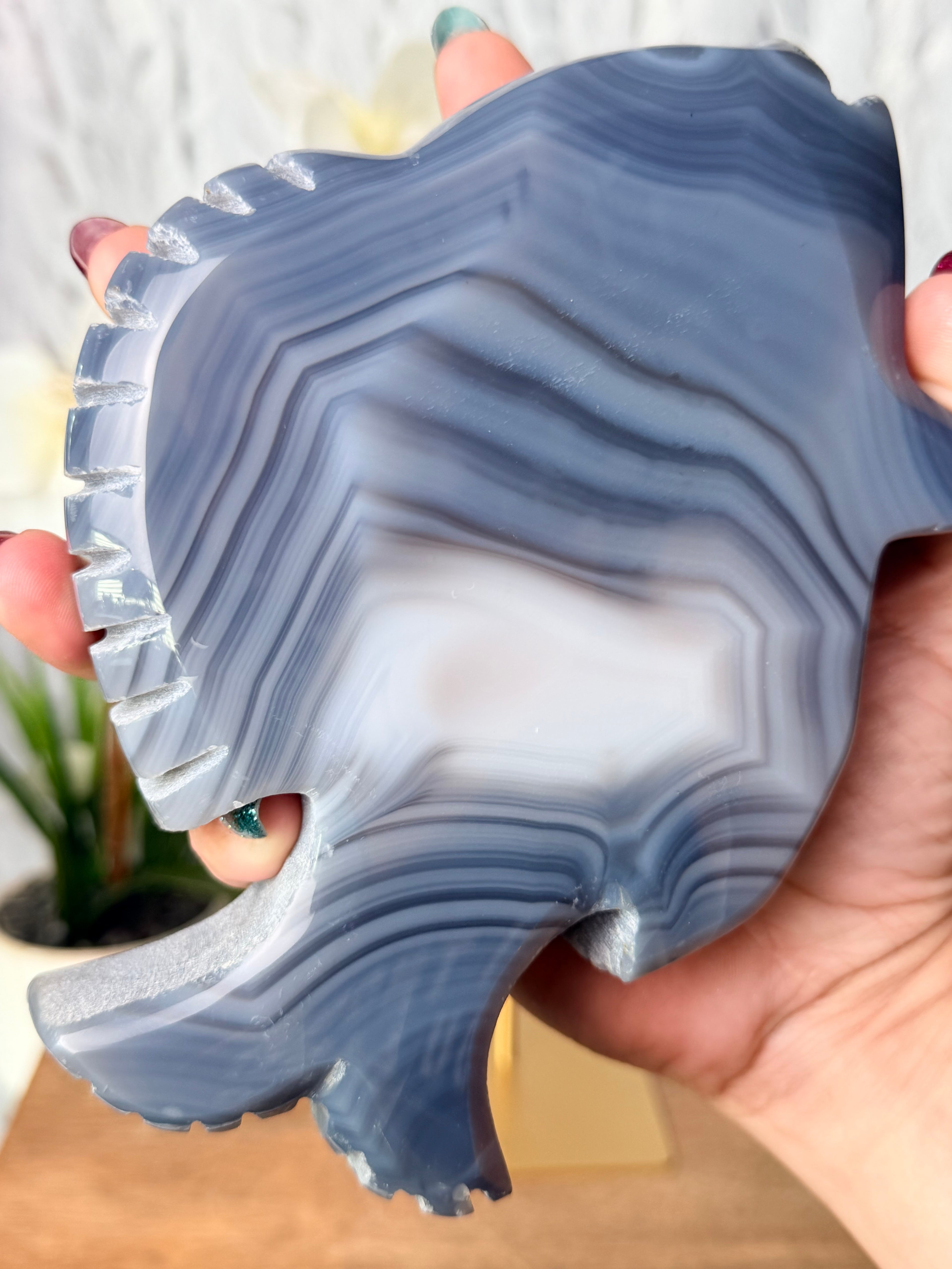 Agate Fish Carving with Rainbow Amethyst Druse