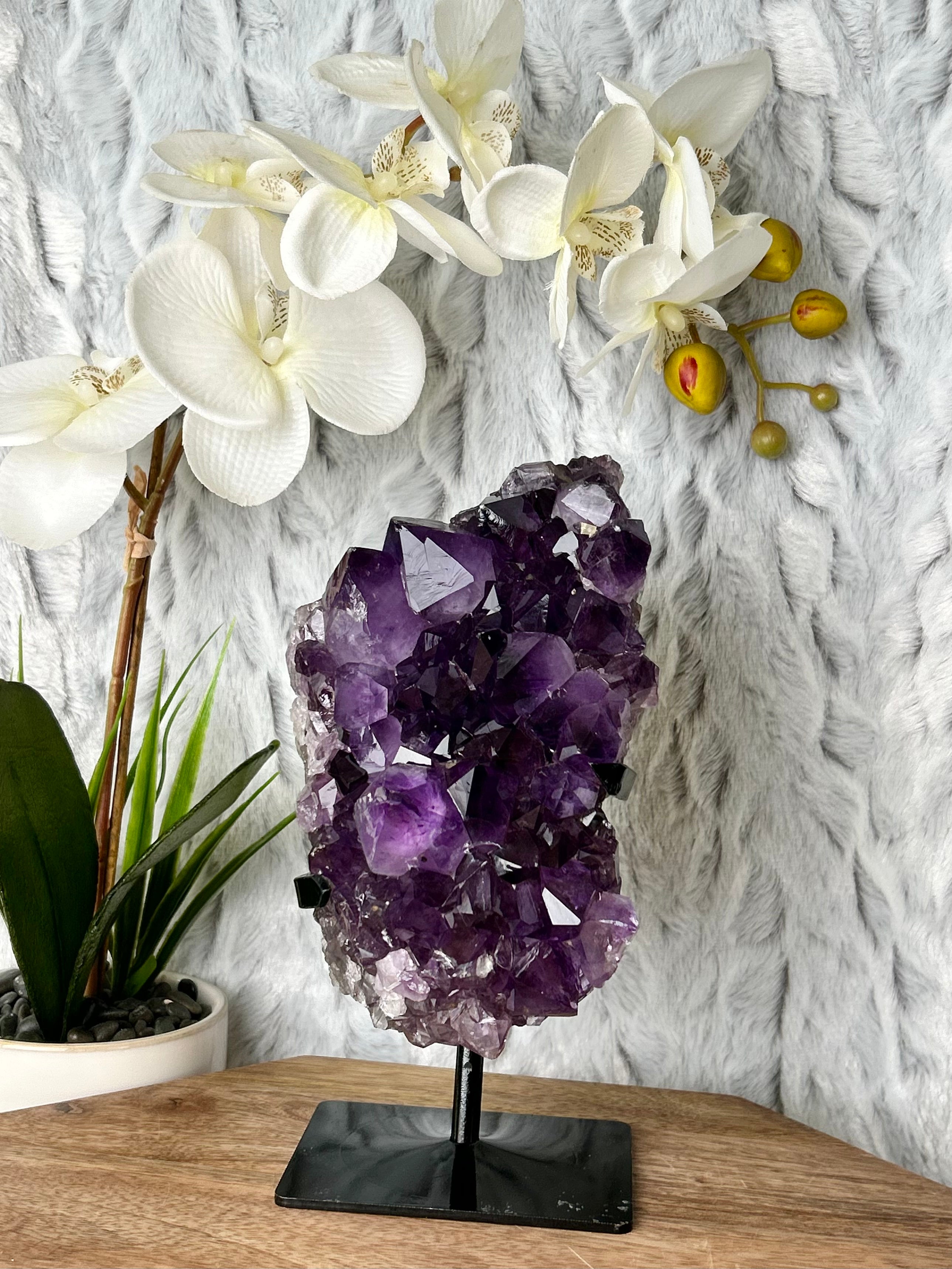 Deep Purple Amethyst cluster