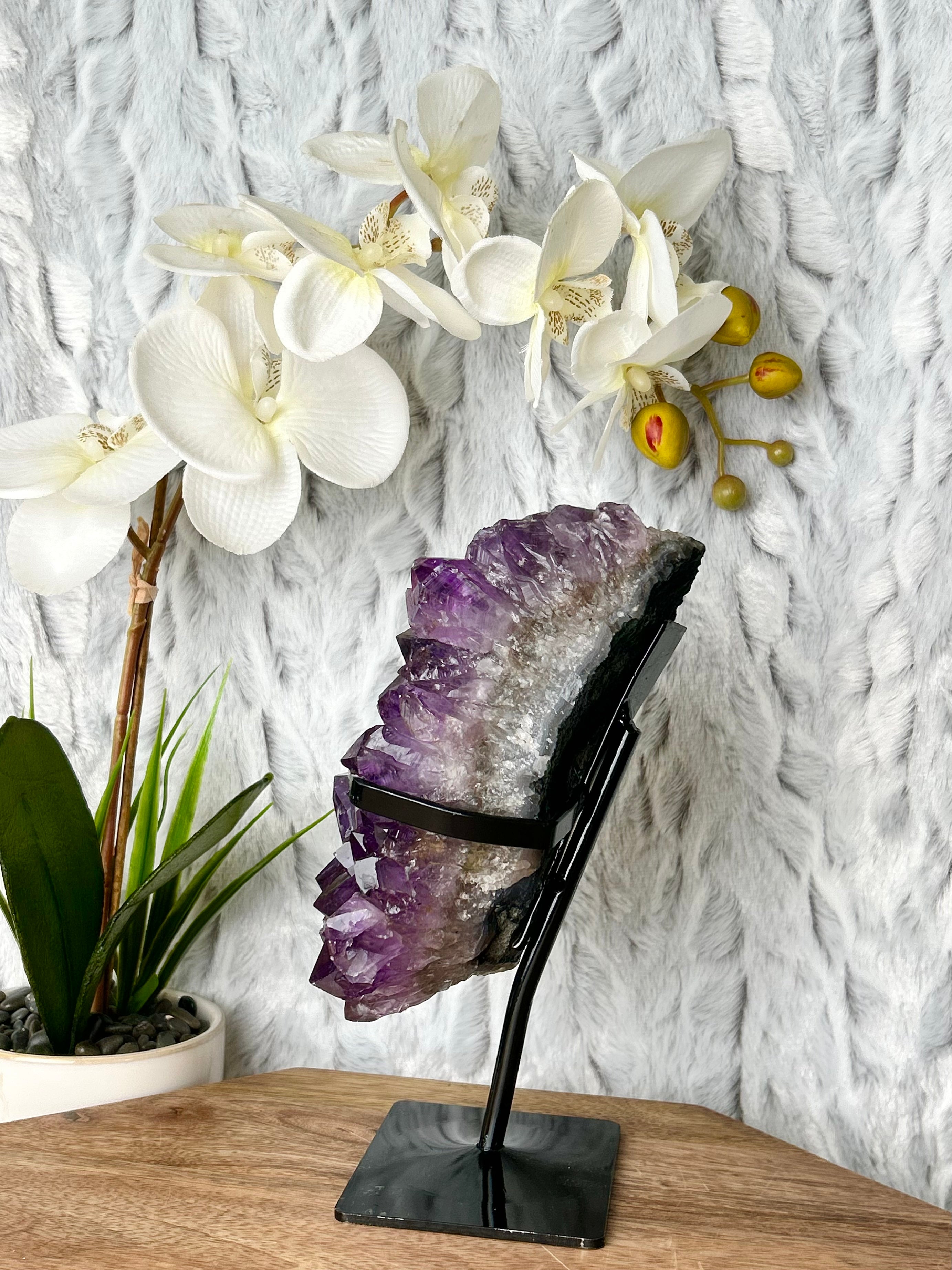 Deep Purple Amethyst cluster