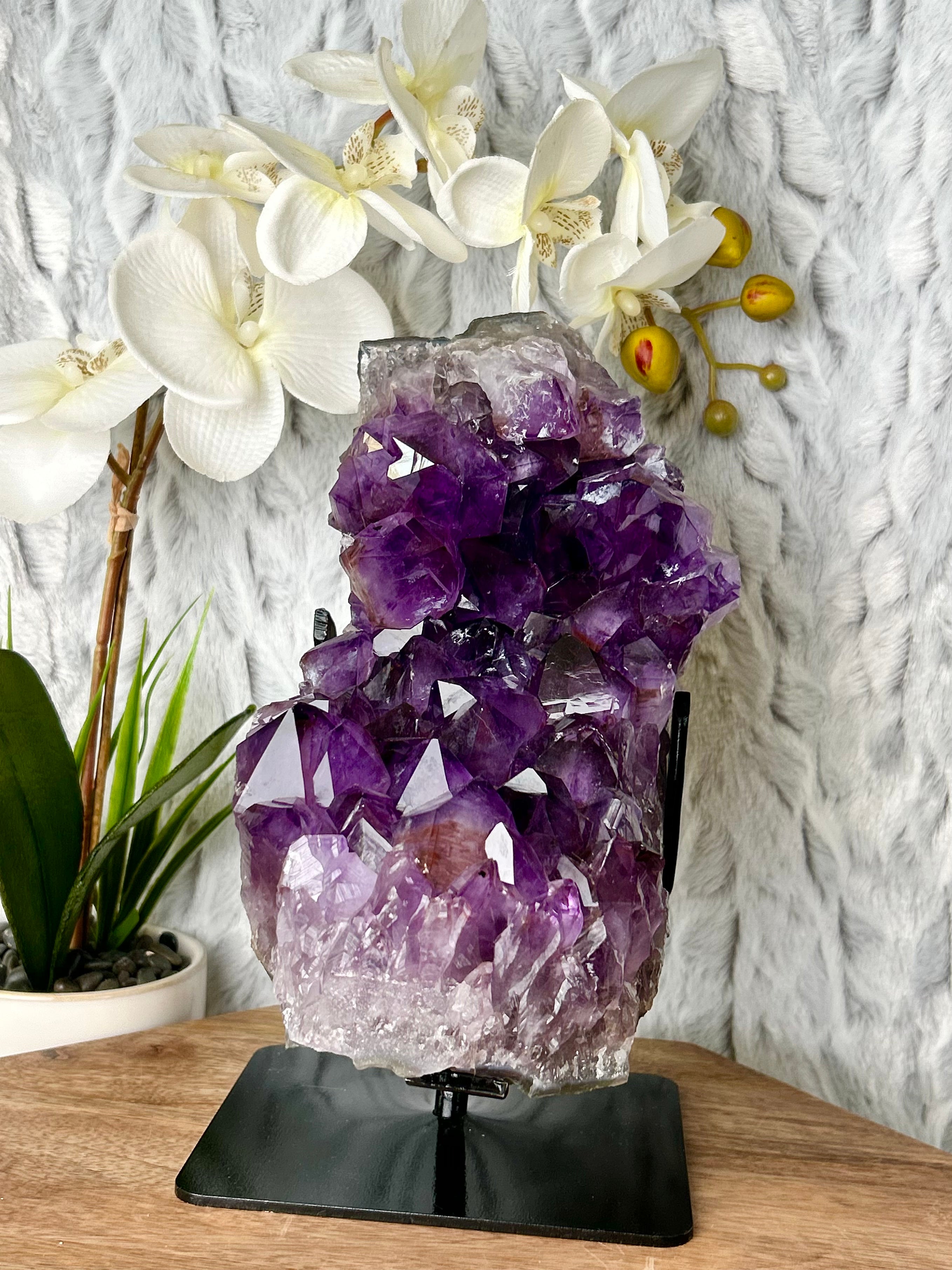 Large Deep Purple Amethyst cluster