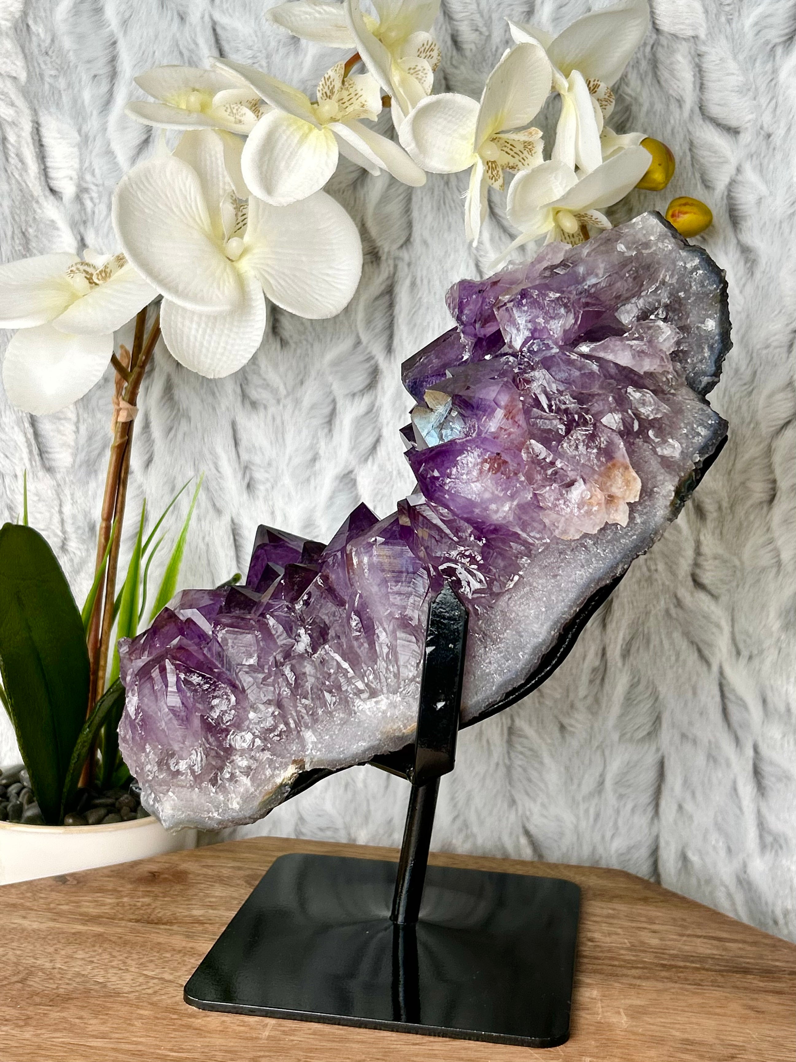 Large Deep Purple Amethyst cluster