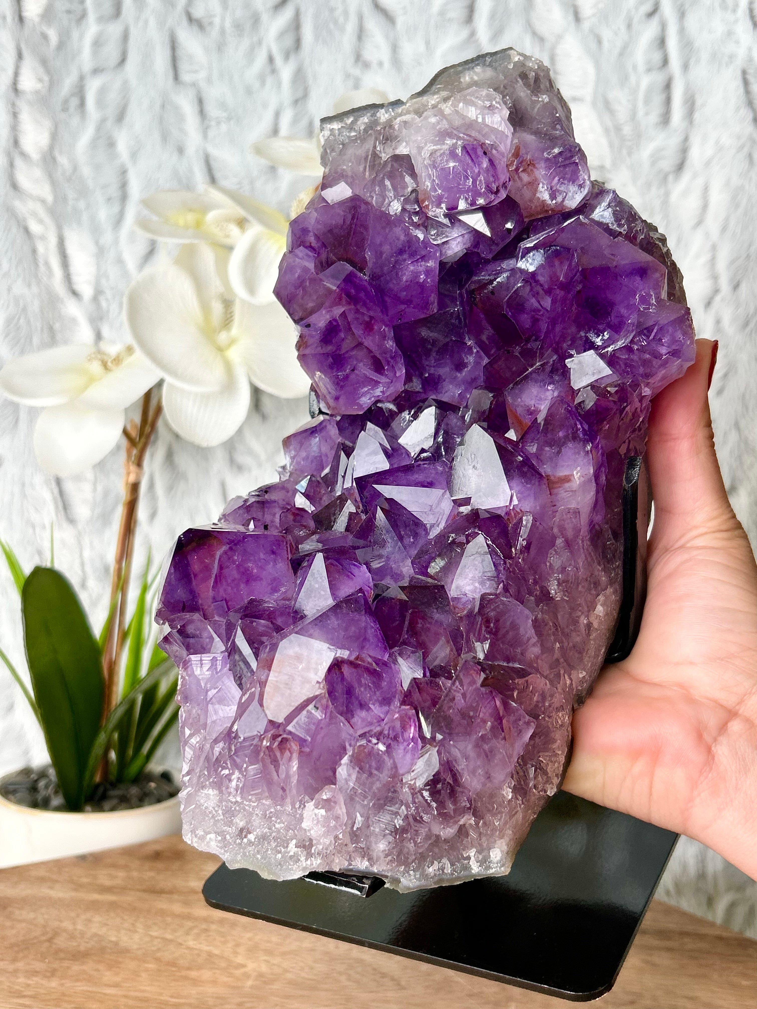 Large Deep Purple Amethyst cluster