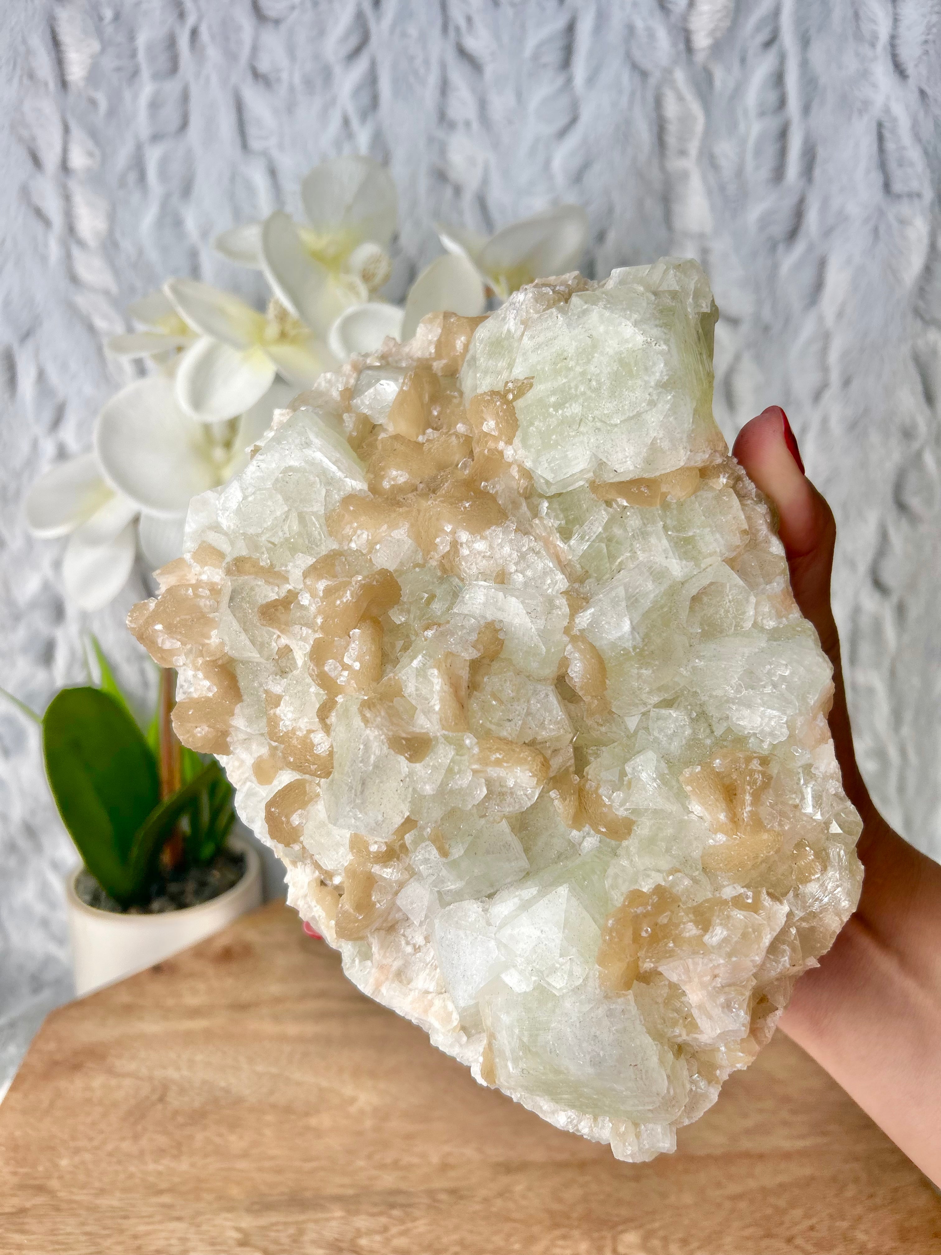 Large Green Apophyllite and Stilbite Cluster