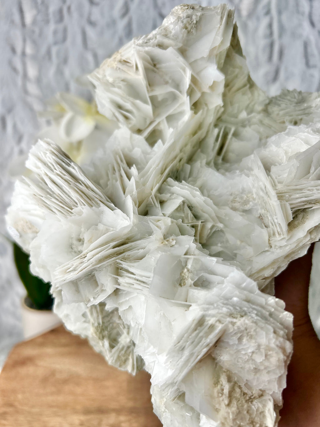Large Petal Calcite