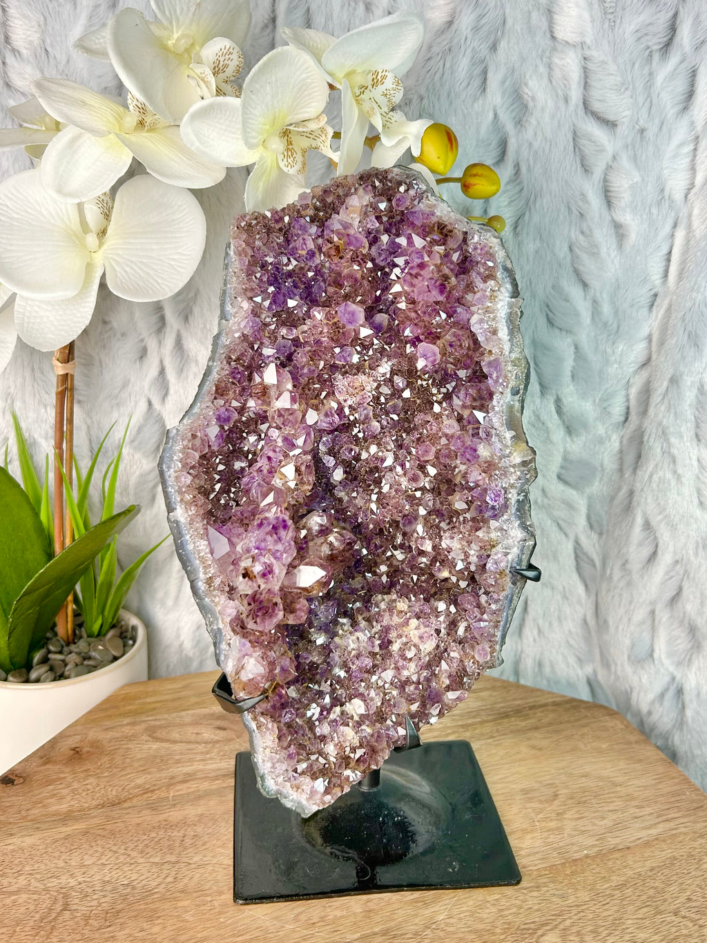 Dark Purple Hematite included Amethyst geode on stand