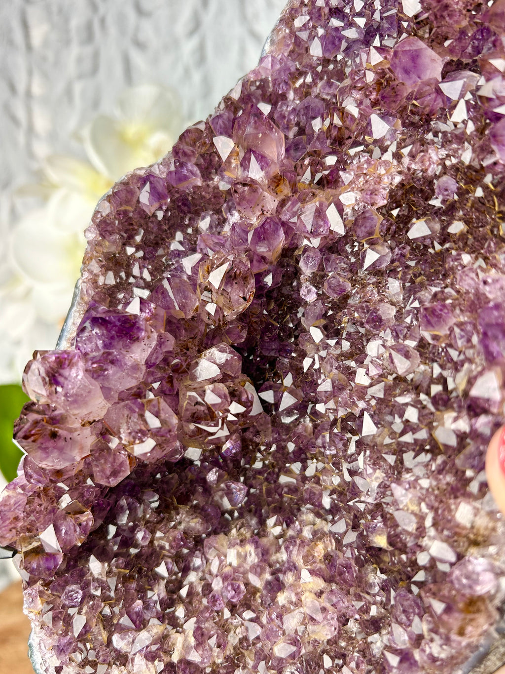 Dark Purple Hematite included Amethyst geode on stand