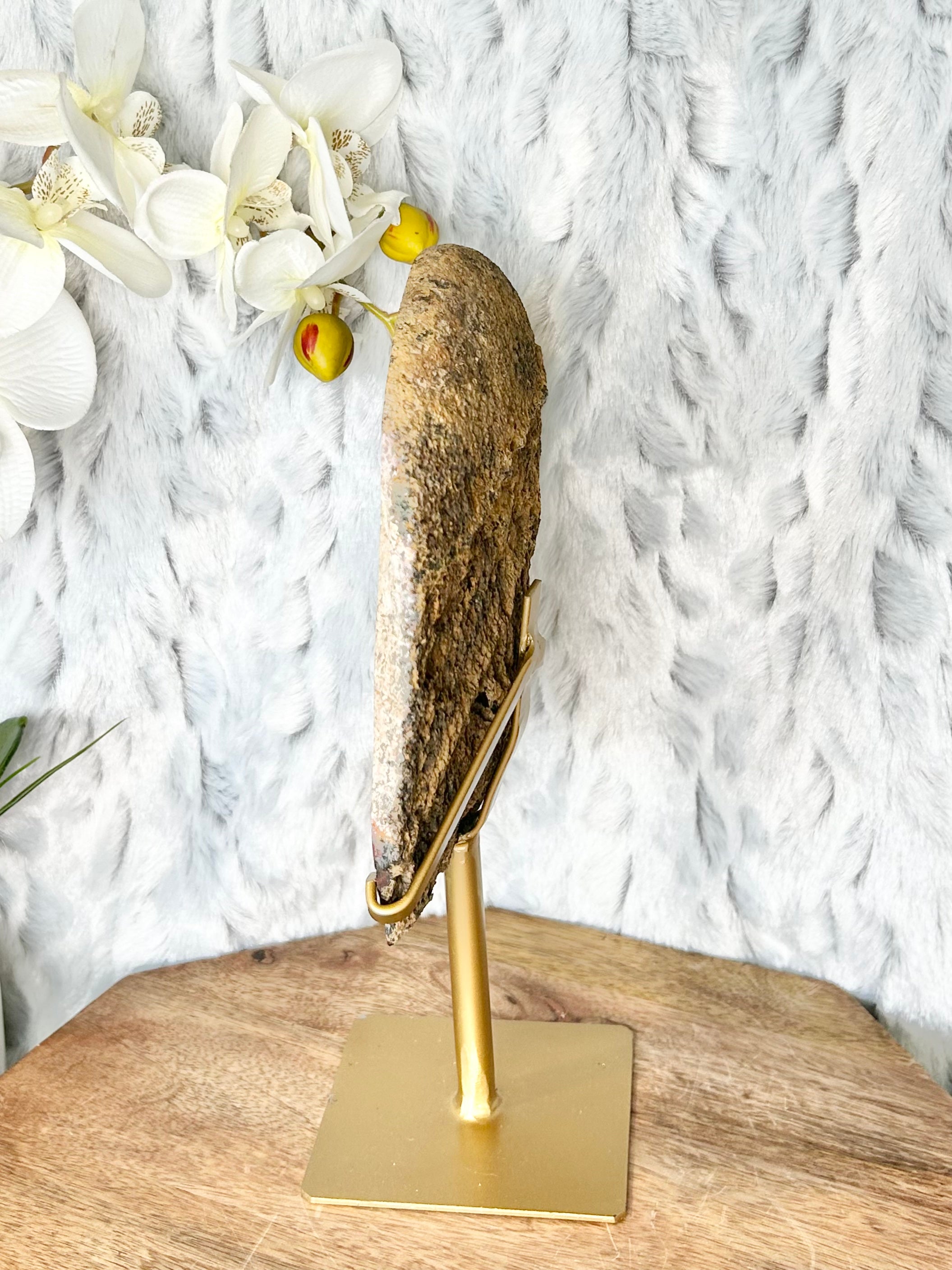 High Quality Agate Geode