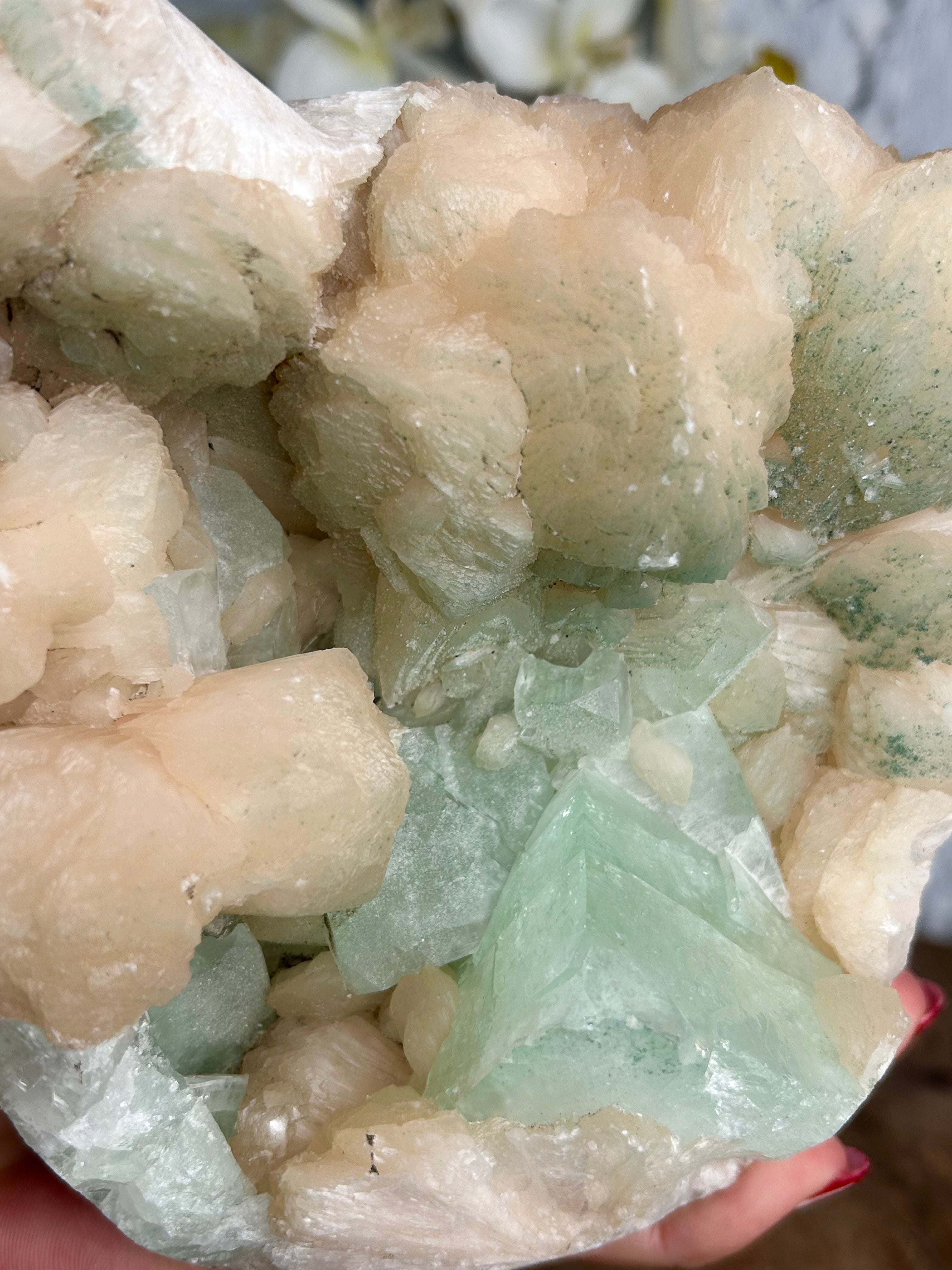 Green Apophyllite and Stilbite