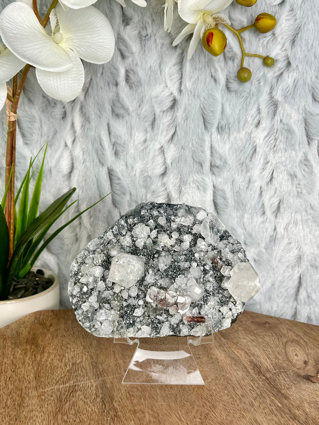 Black Chalcedony with Apophyllite