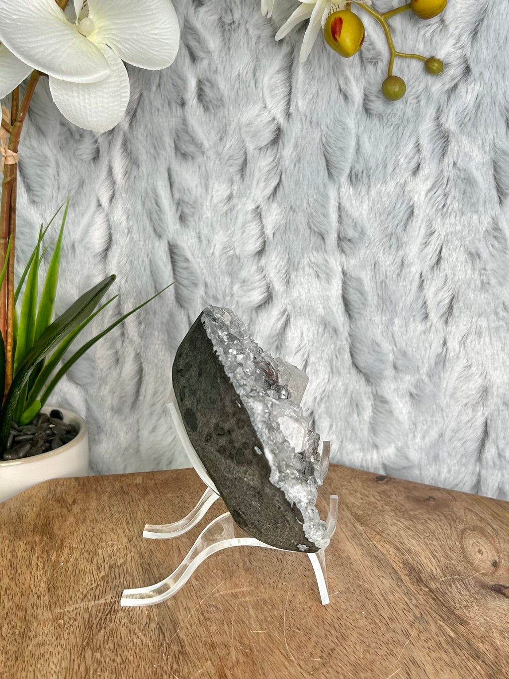 Black Chalcedony with Apophyllite