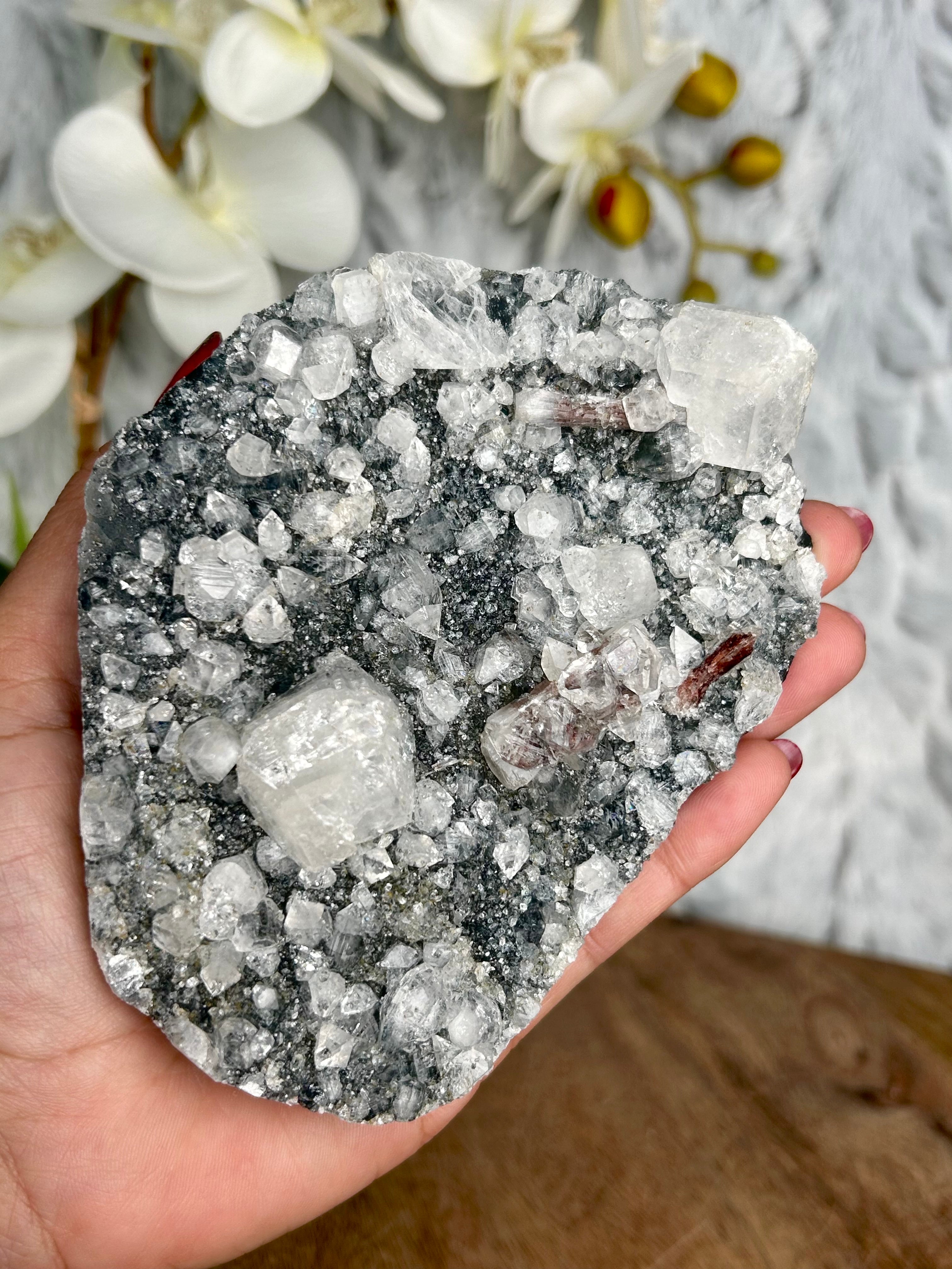 Black Chalcedony with Apophyllite