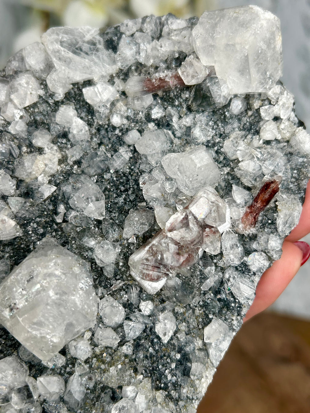 Black Chalcedony with Apophyllite