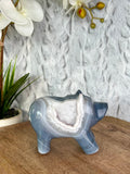 Agate Bear with White Druse