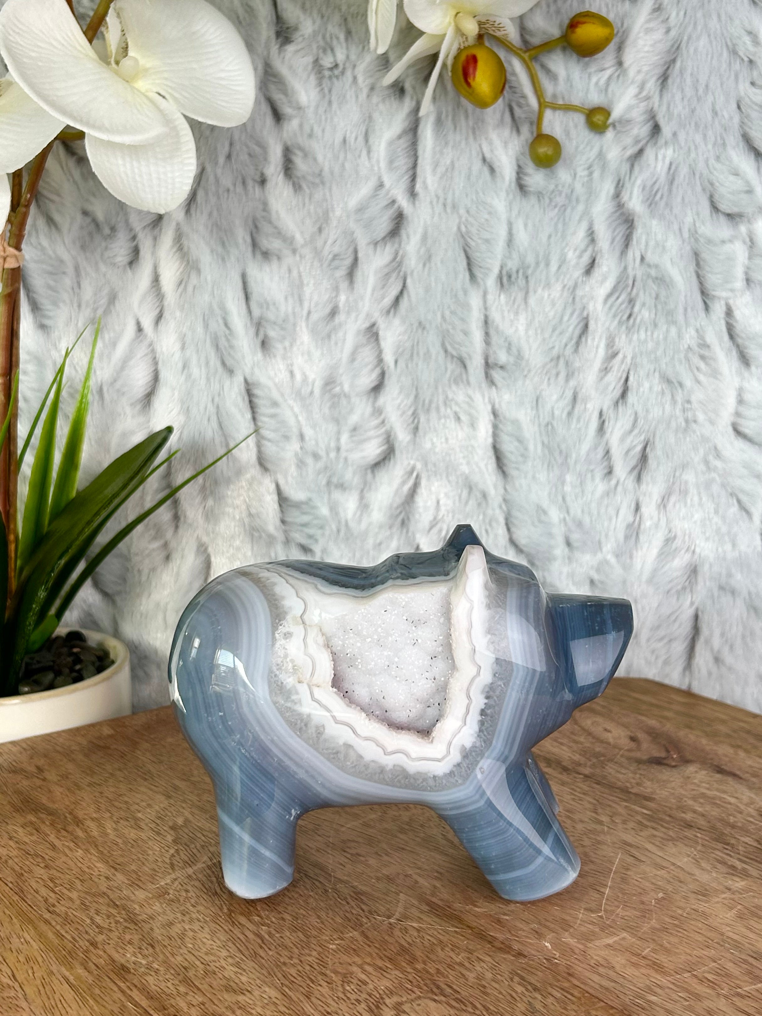 Agate Bear with White Druse