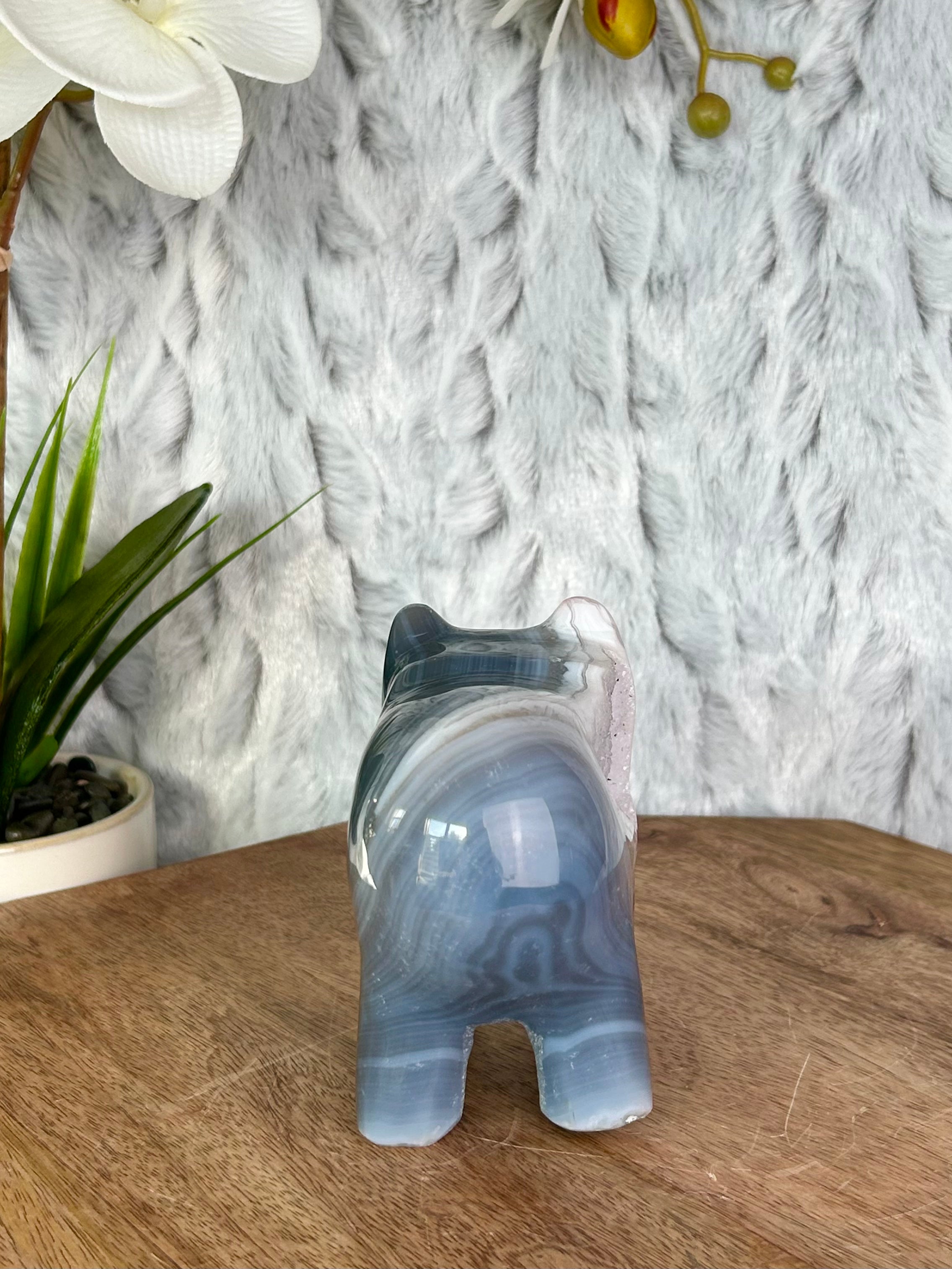 Agate Bear with White Druse