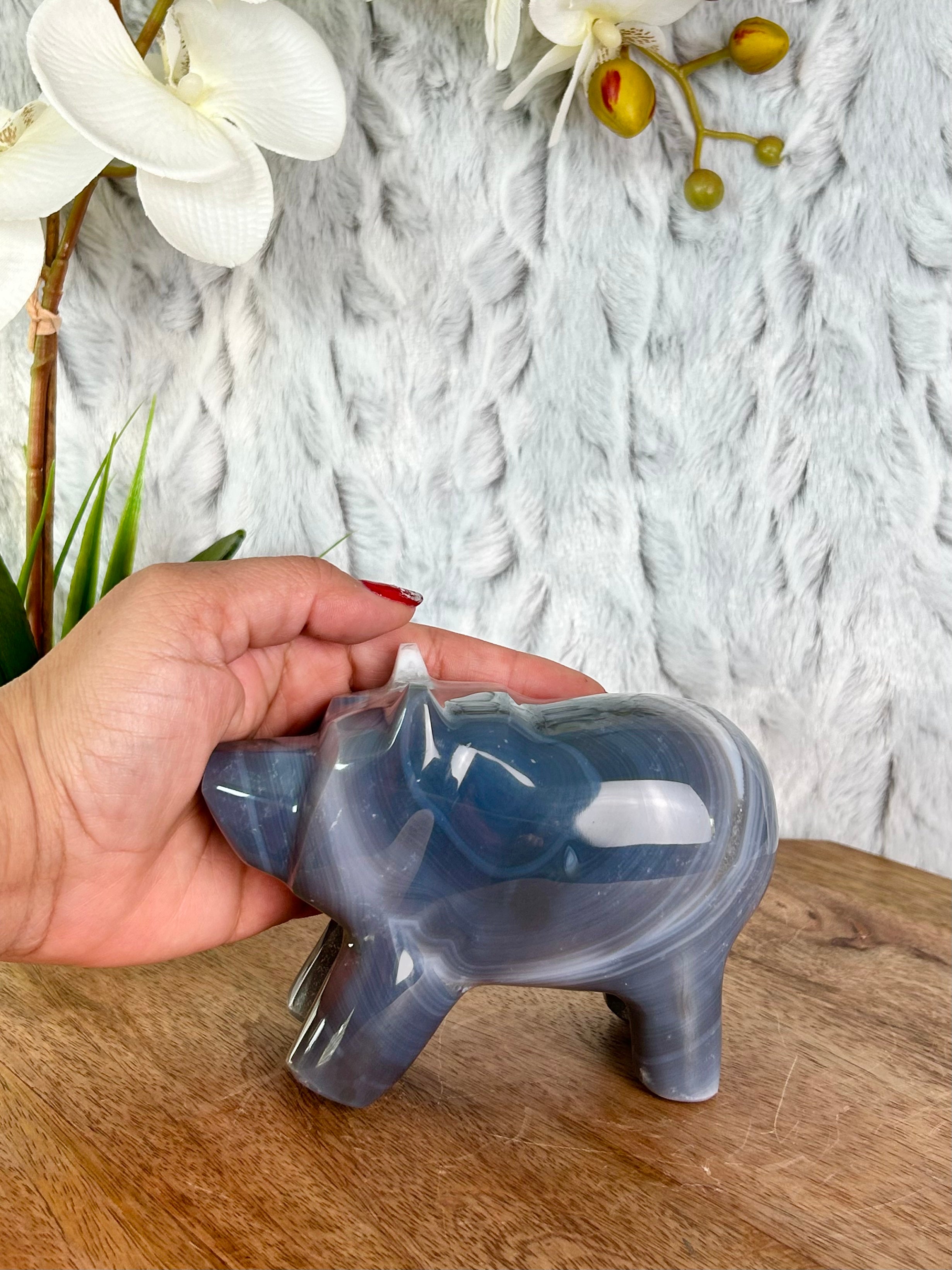 Agate Bear with White Druse