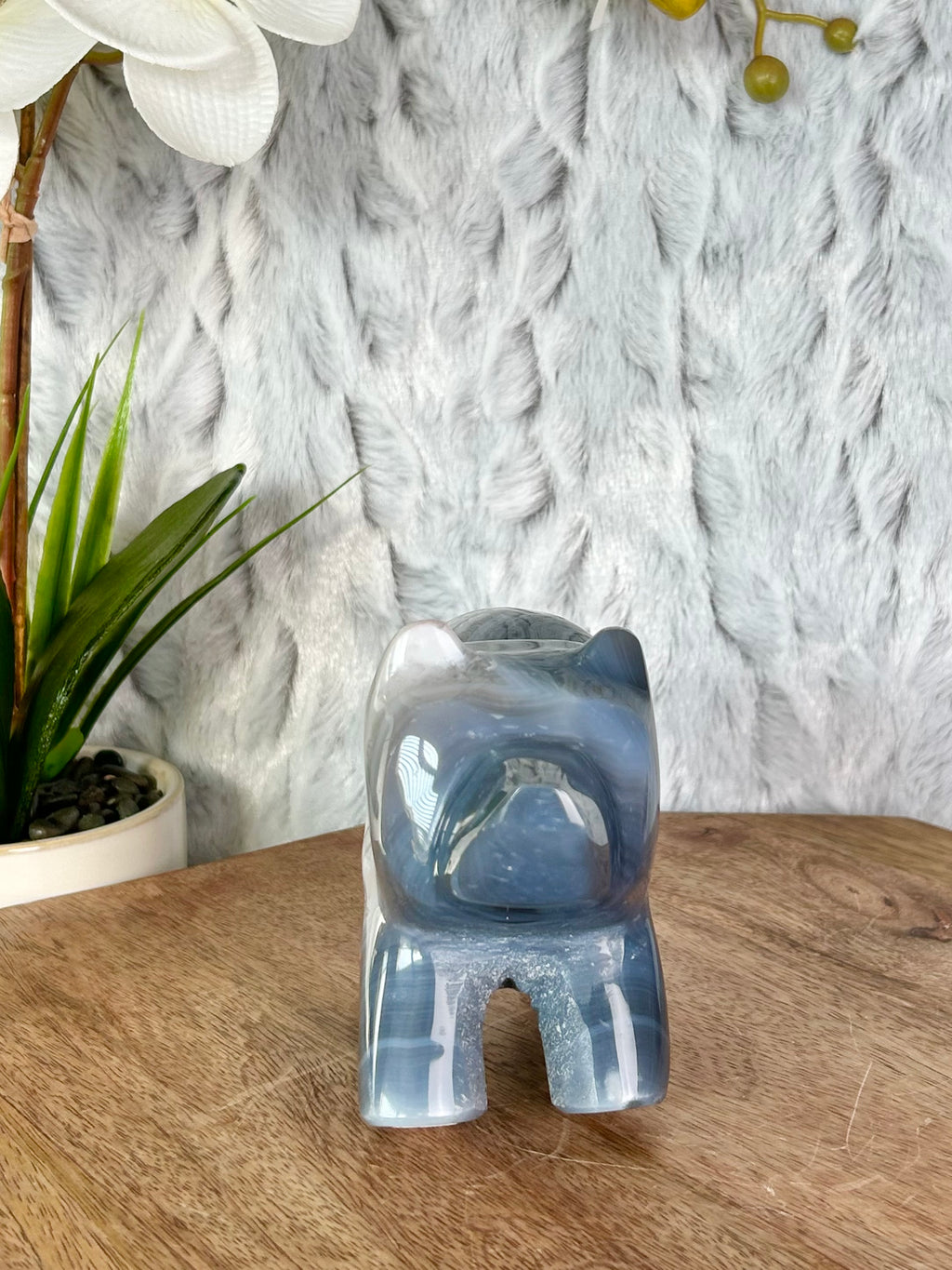 Agate Bear with White Druse