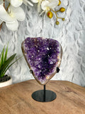 Uruguayan Amethyst Cluster