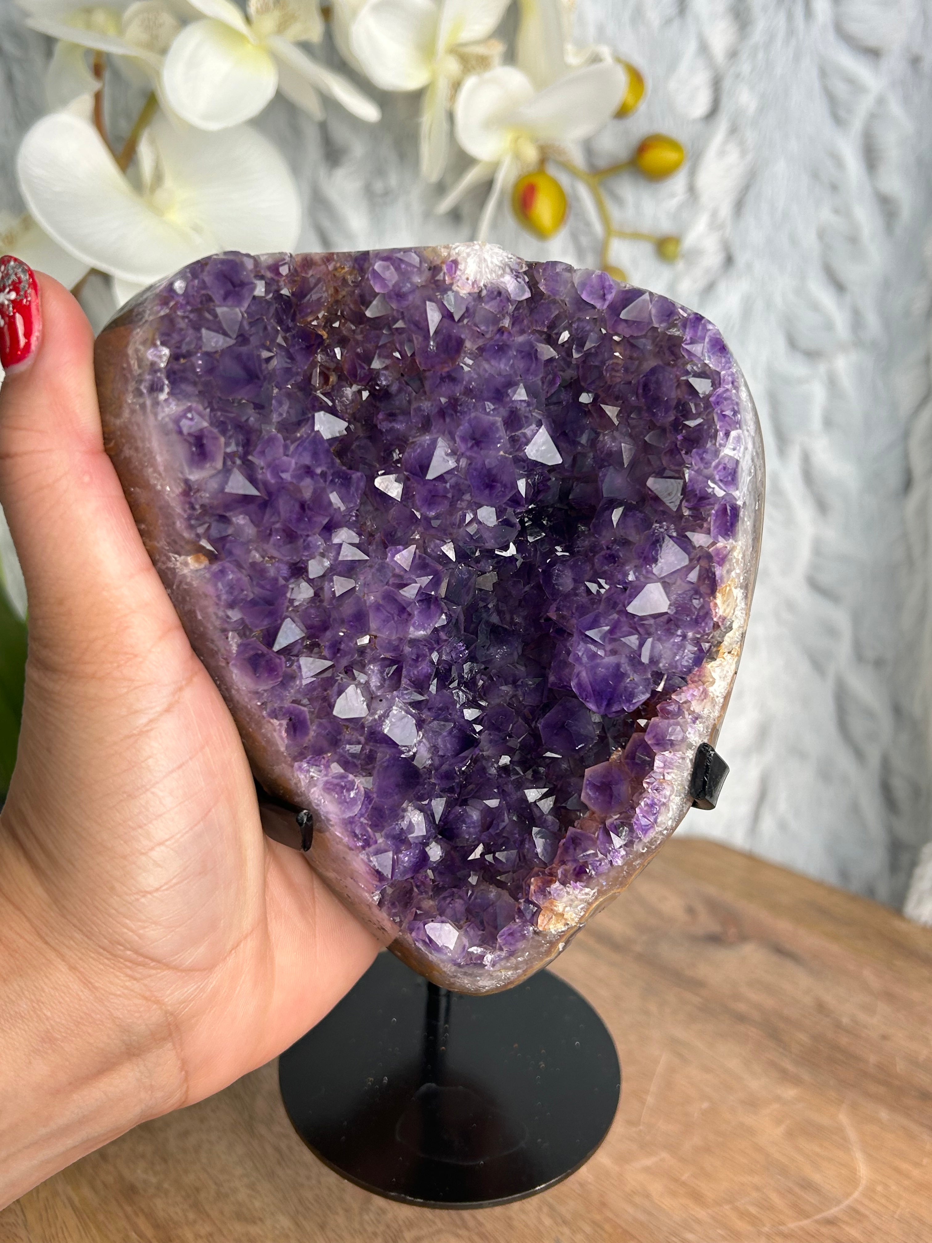 Uruguayan Amethyst Cluster