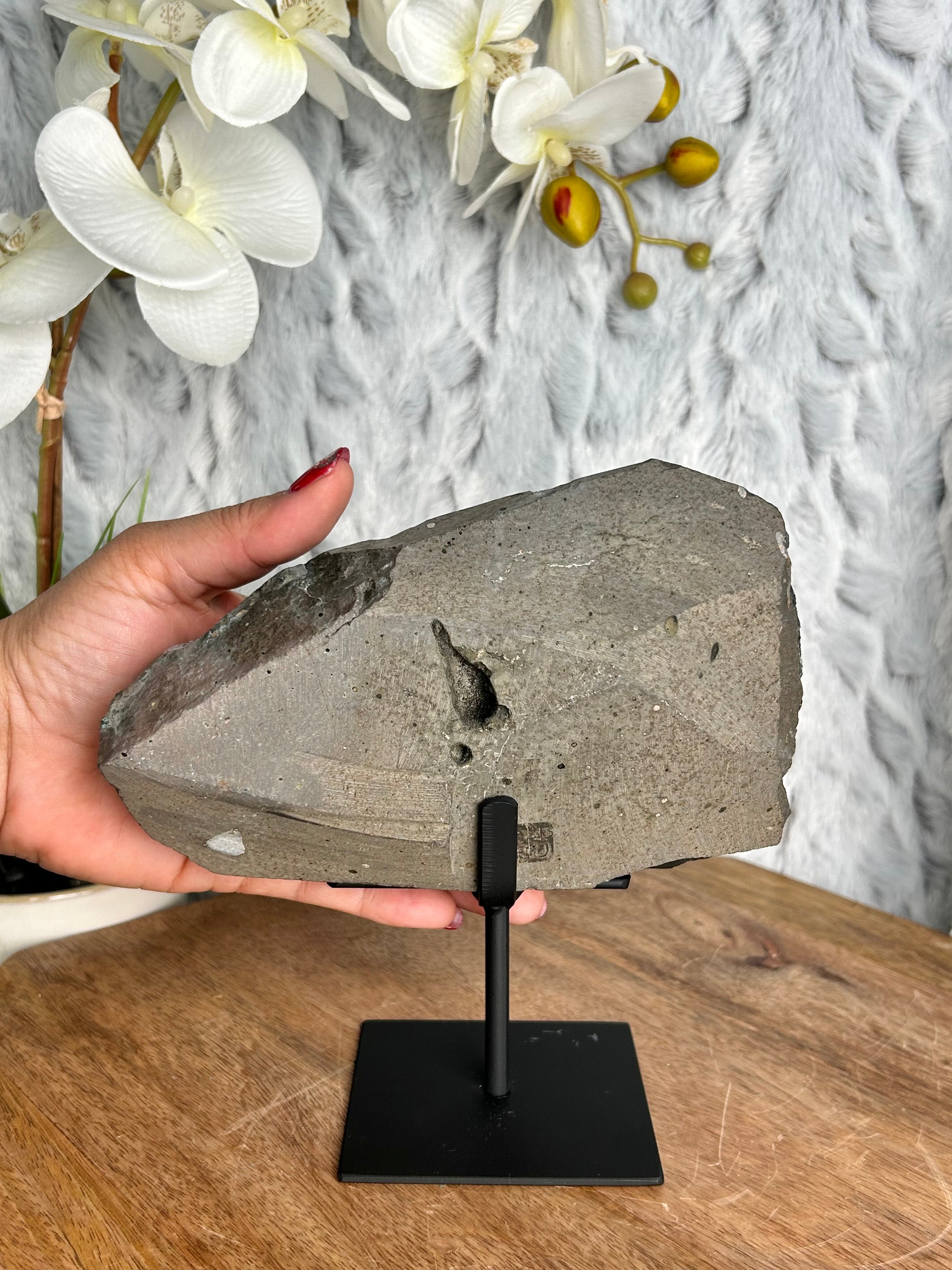 Uruguayan Amethyst on Stone Matrix