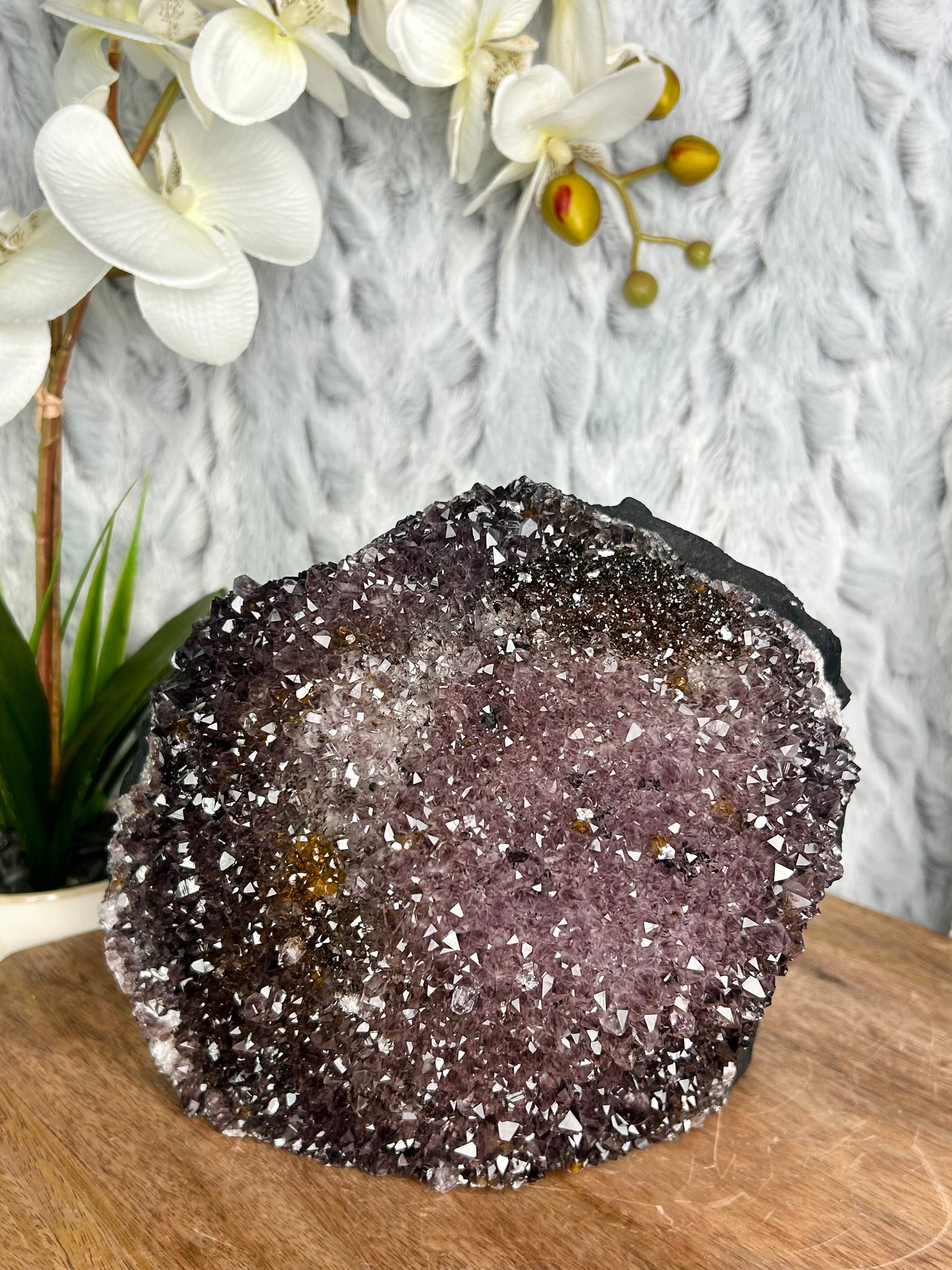 Large Amethyst Cluster