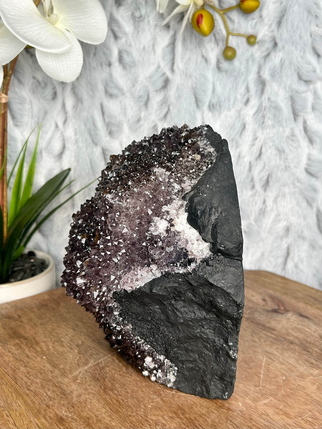 Large Amethyst Cluster