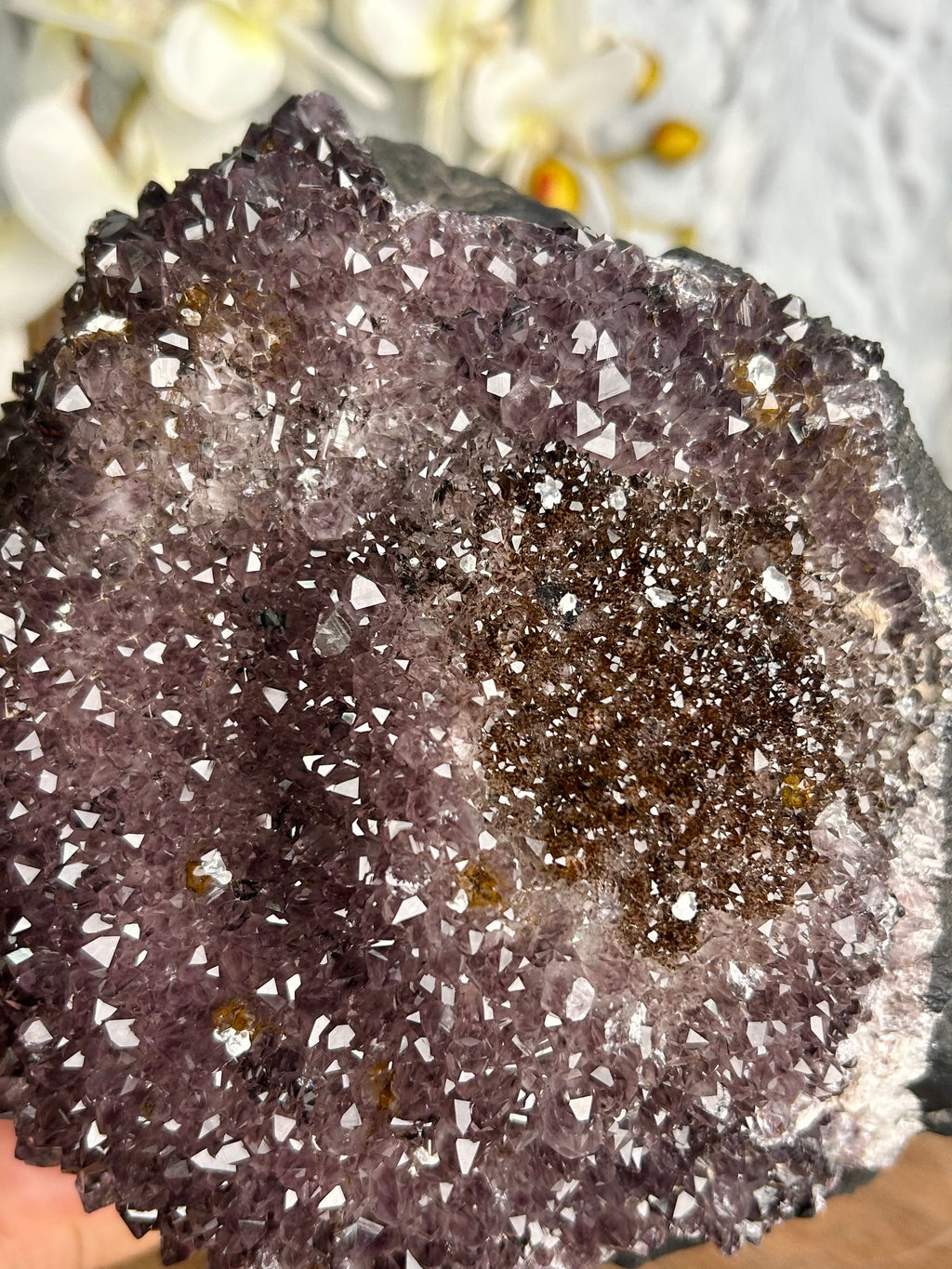 Large Amethyst Cluster