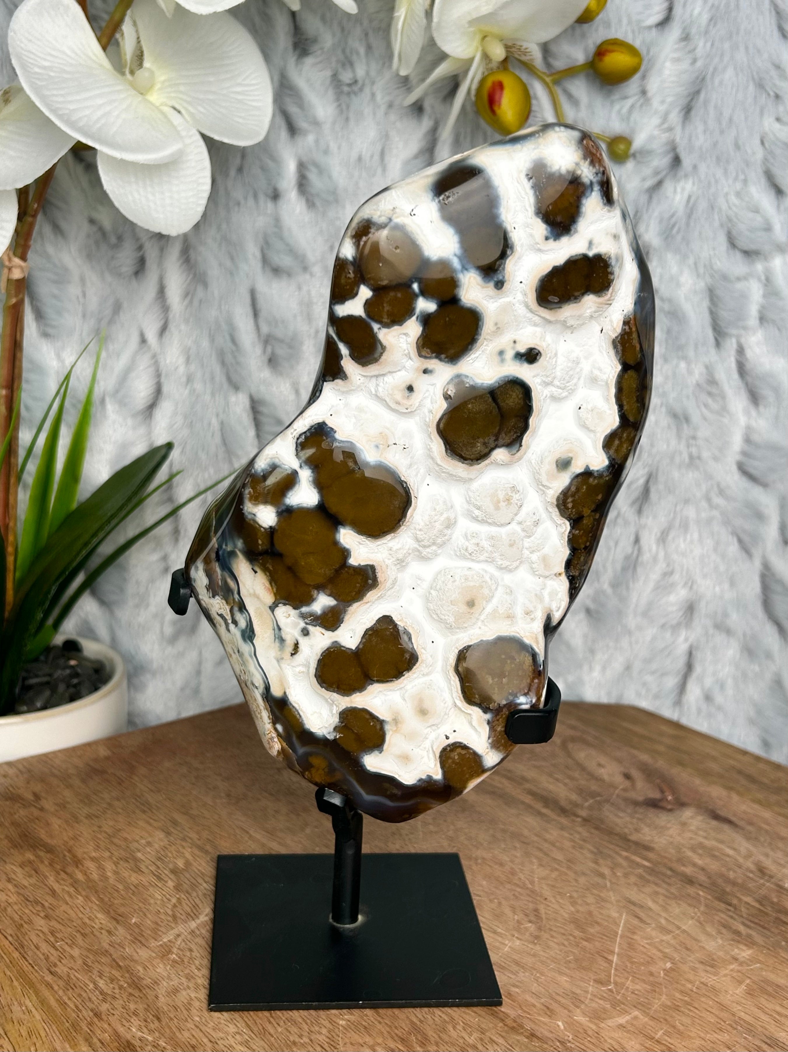 Unique Brown and White Orca Agate