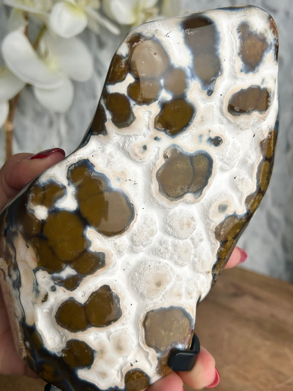 Unique Brown and White Orca Agate