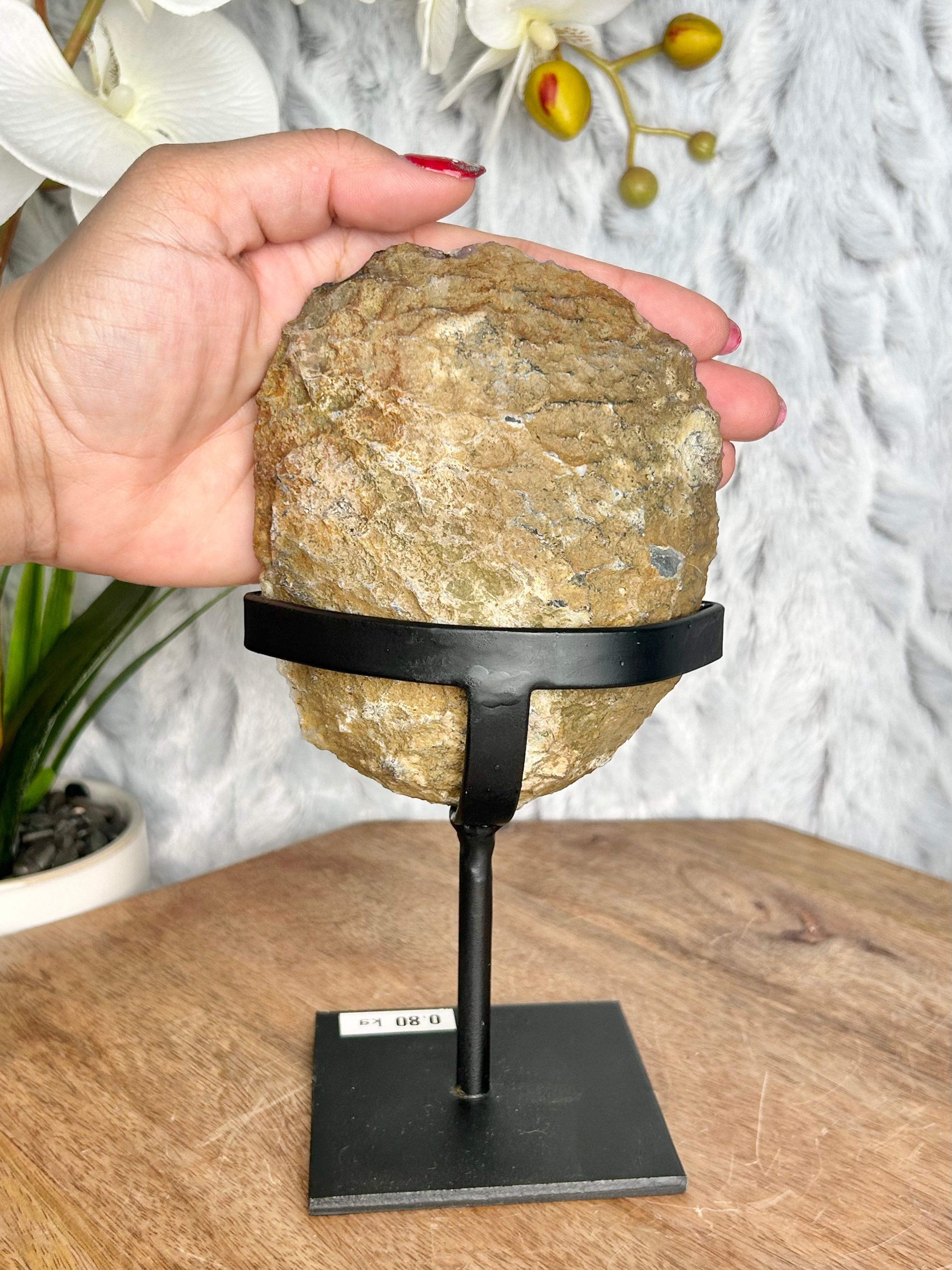 Uruguayan Rainbow Amethyst Geode