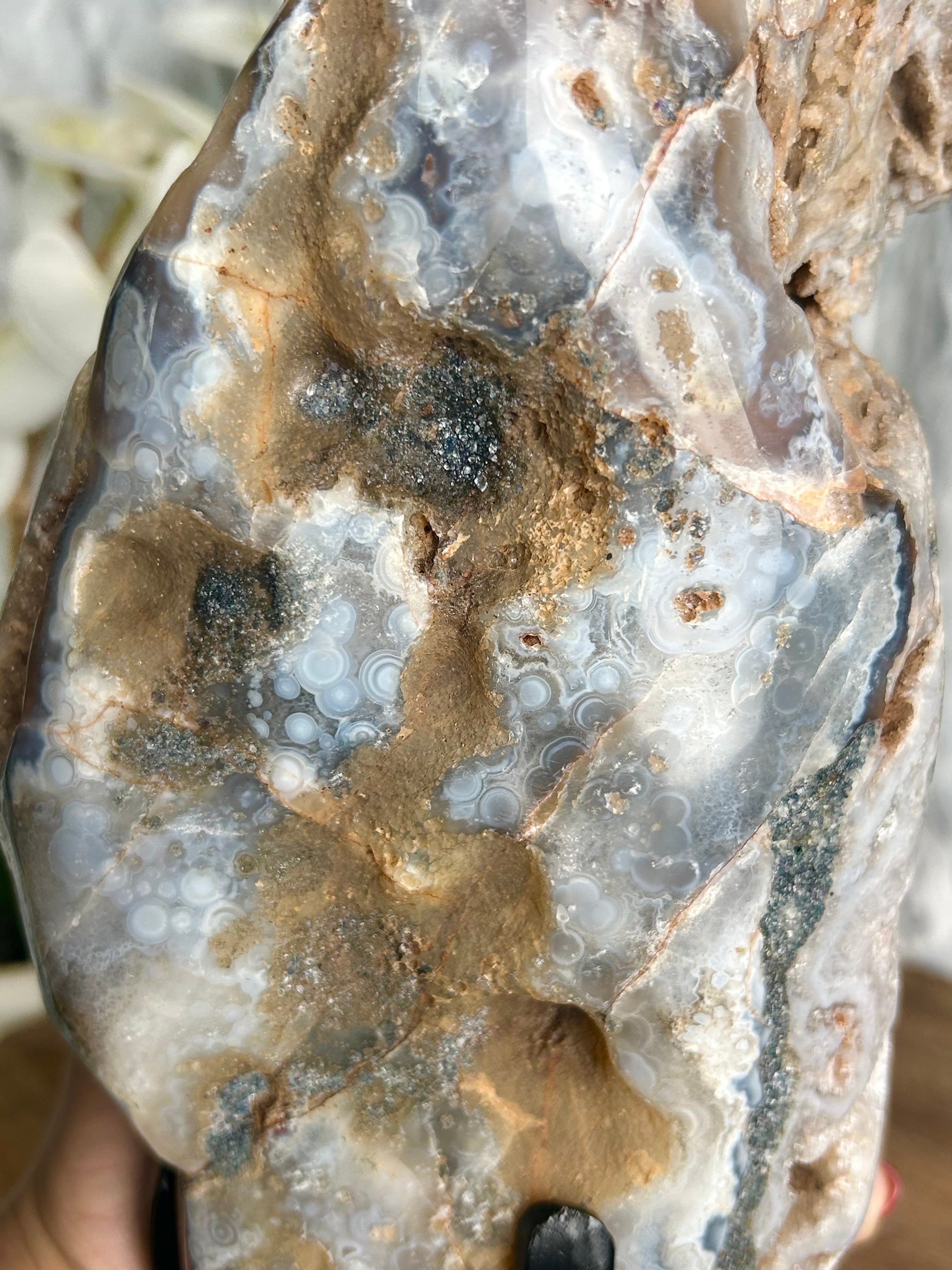 Large Druzy Agate Geode Freeform