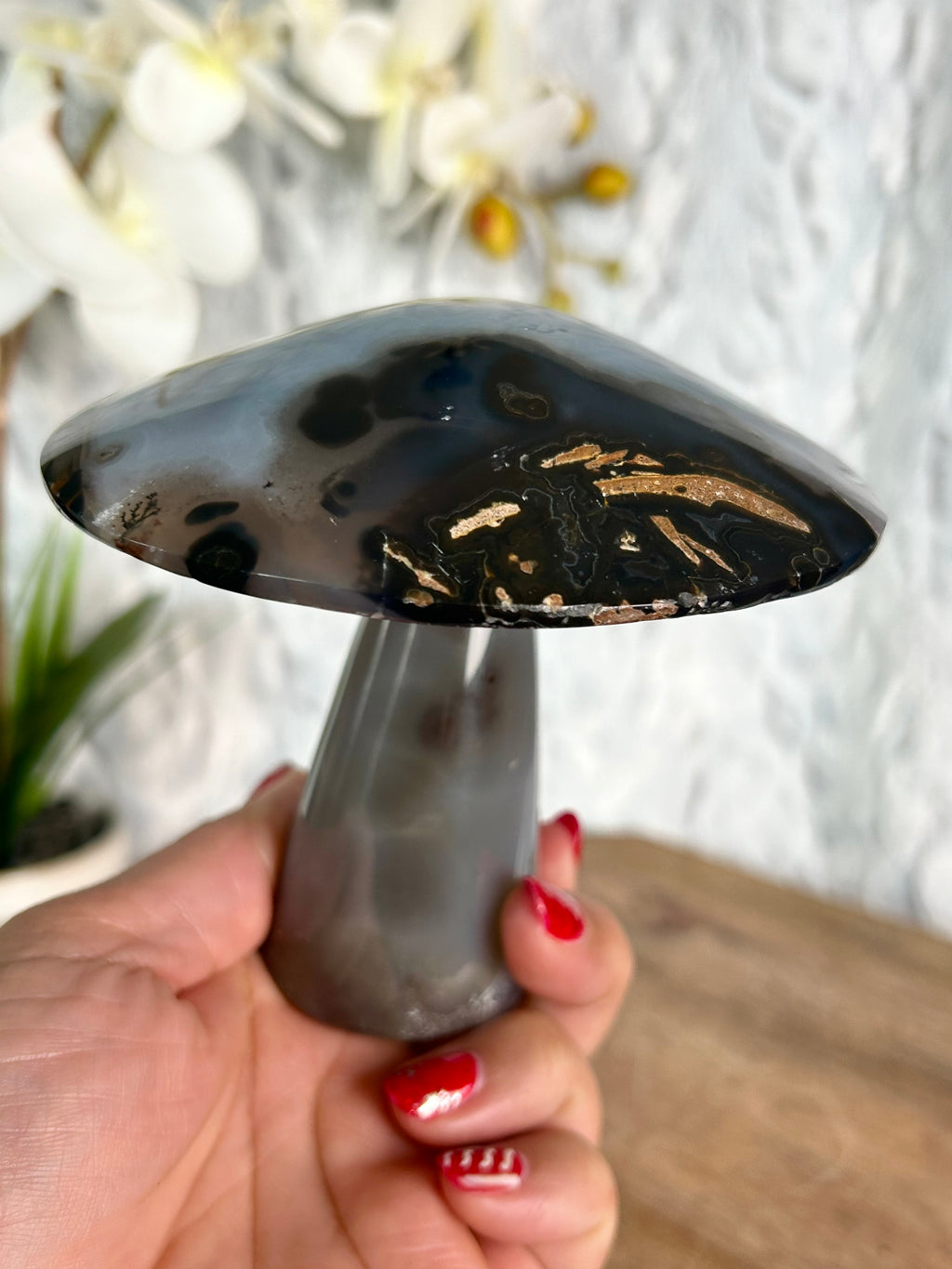 Agate Mushroom