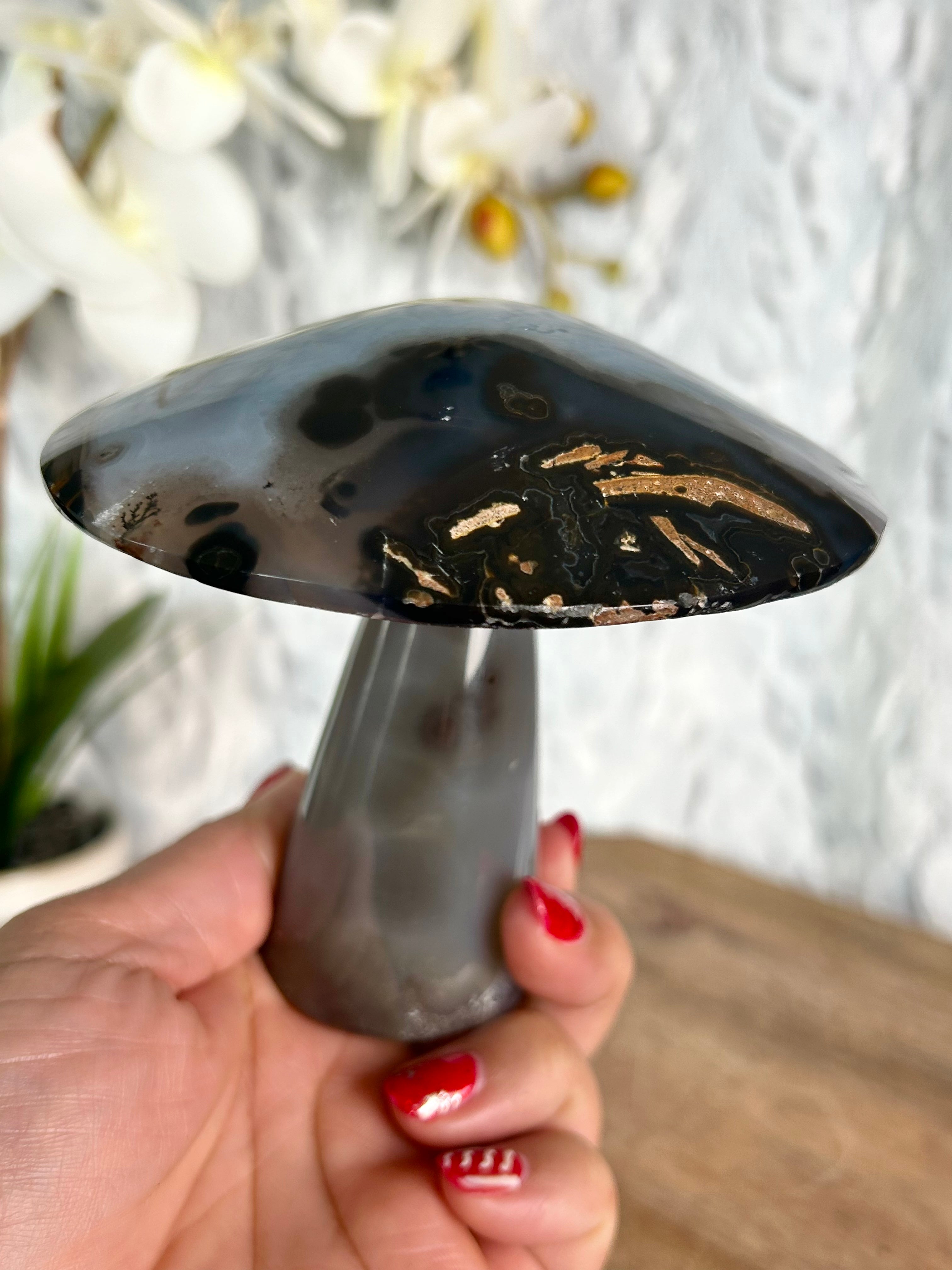 Agate Mushroom