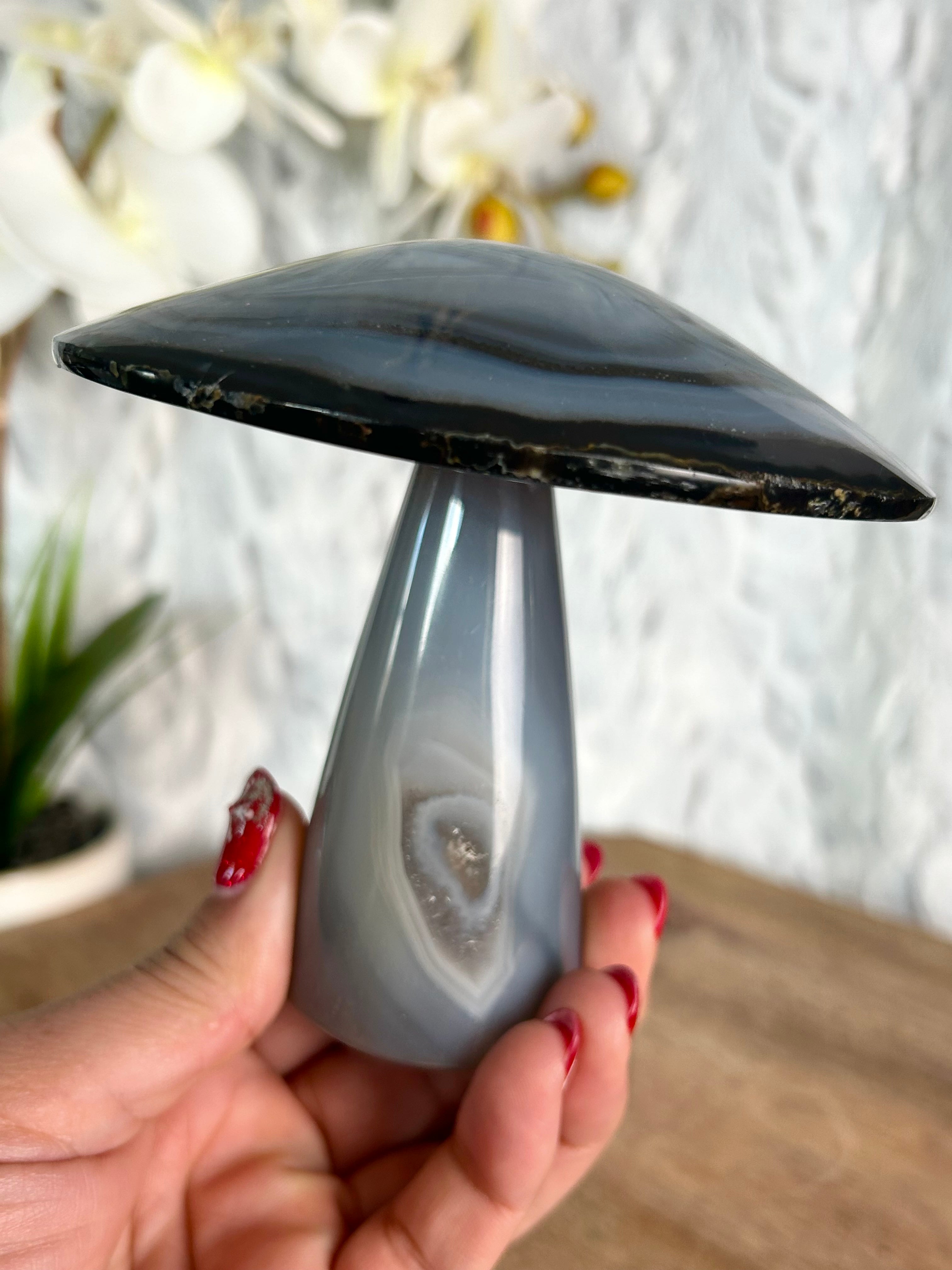 Agate Mushroom