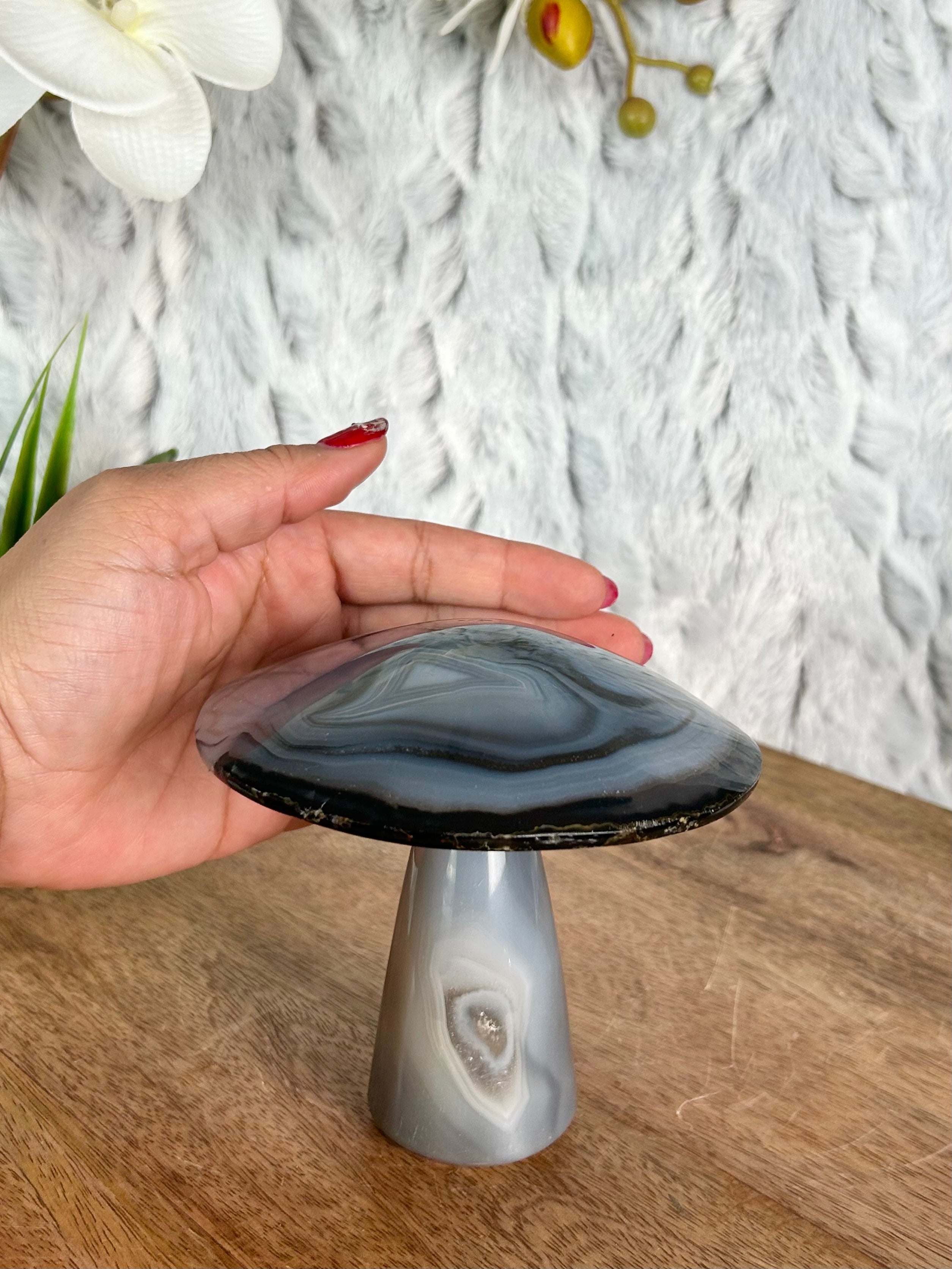 Agate Mushroom