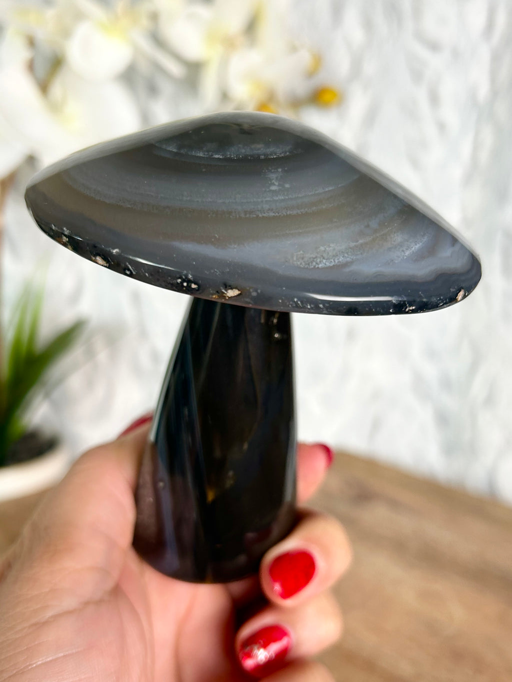 Agate Mushroom