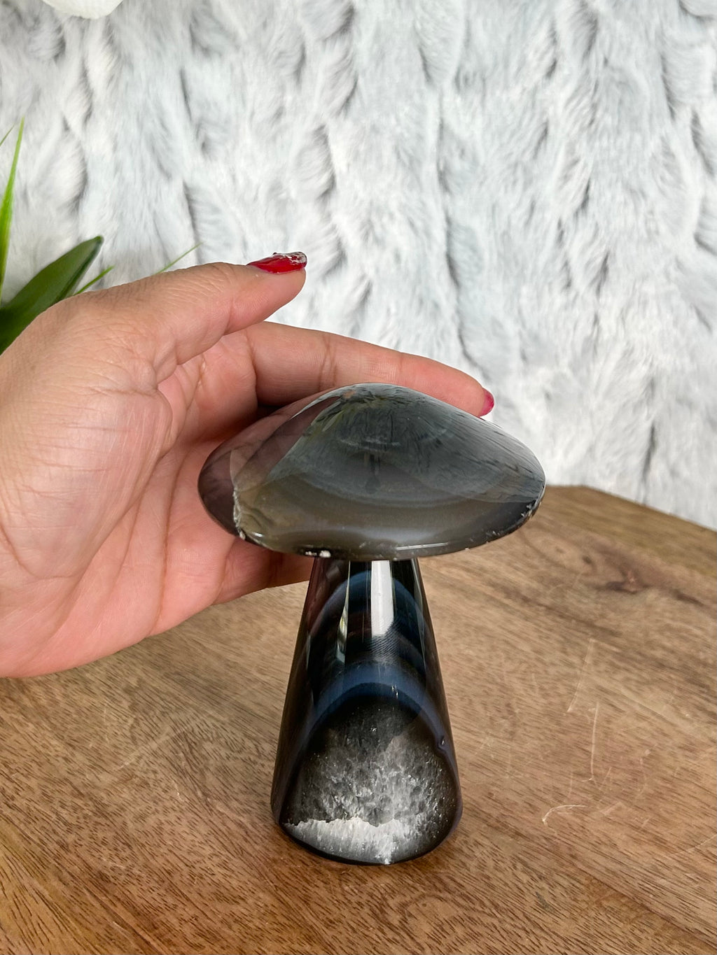 Agate Mushroom