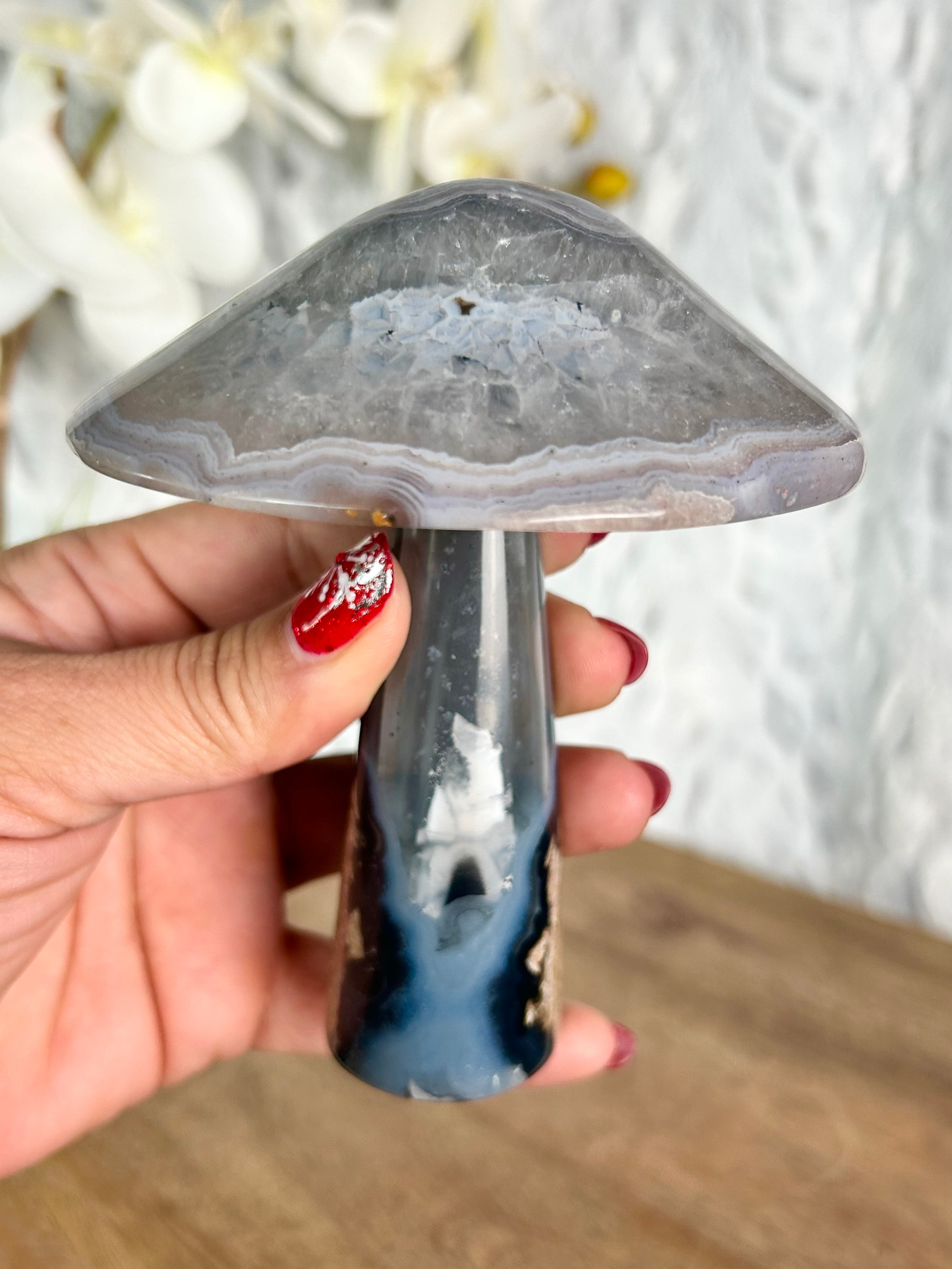 Agate Mushroom