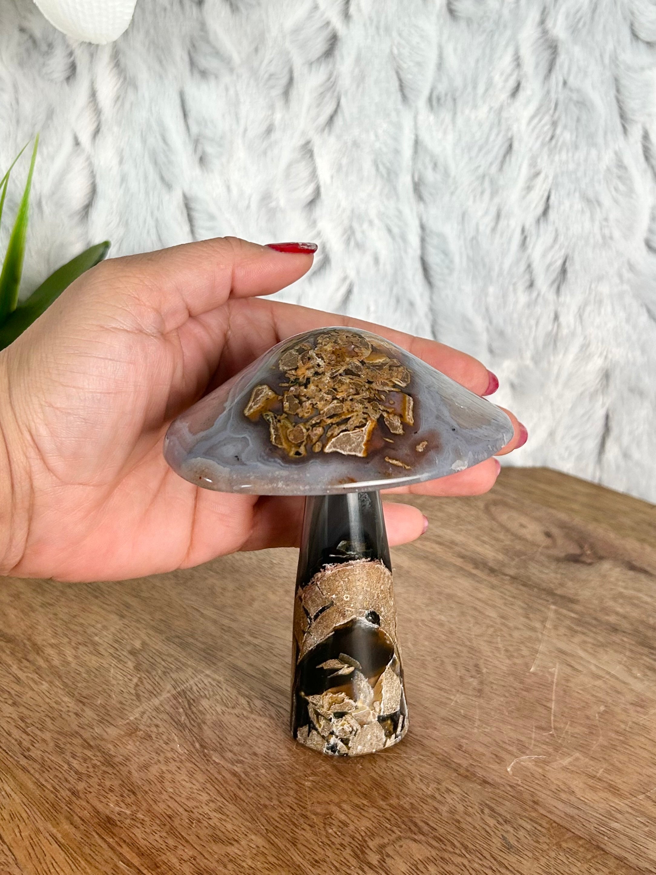 Agate Mushroom