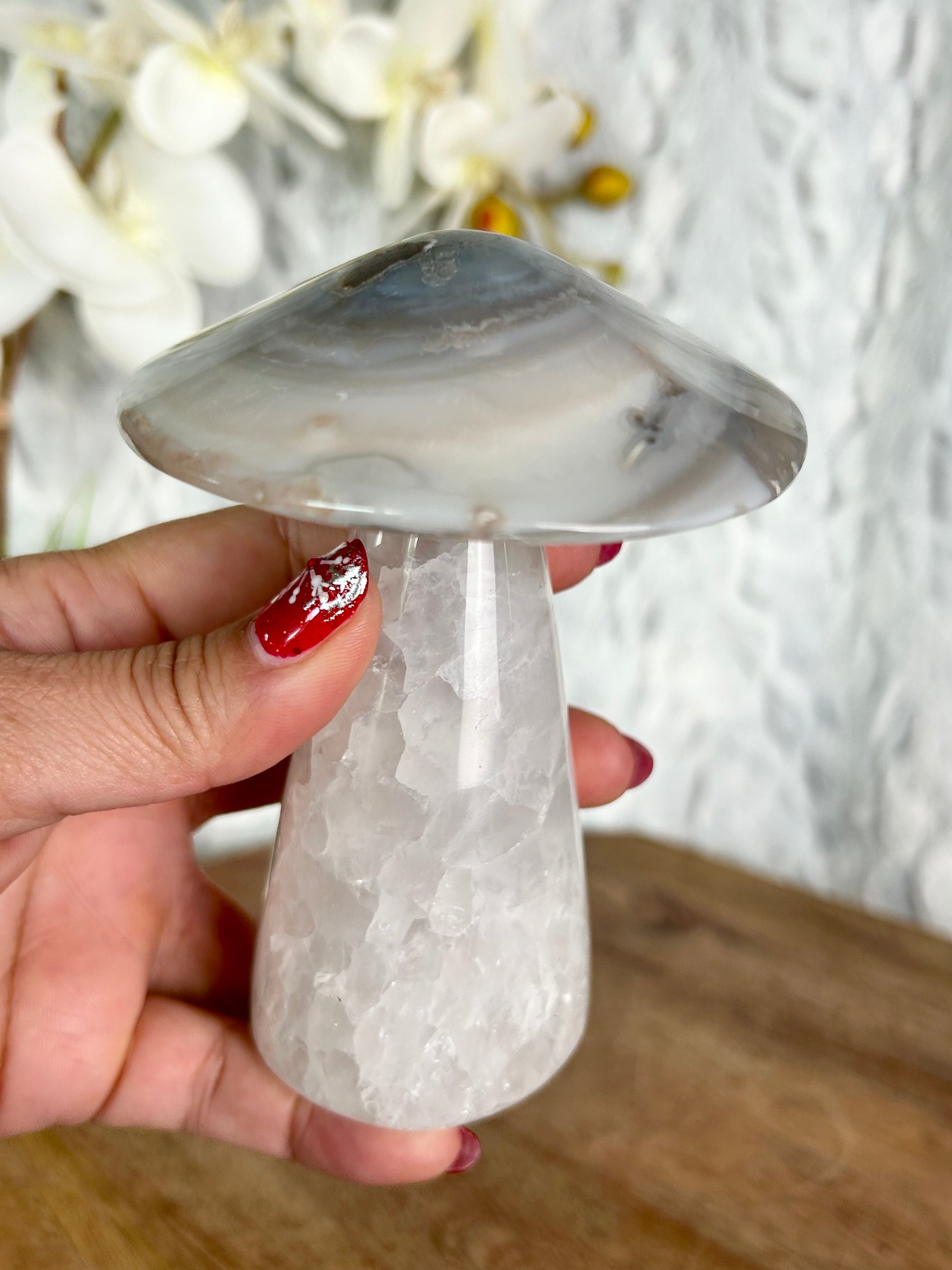 Agate Mushroom