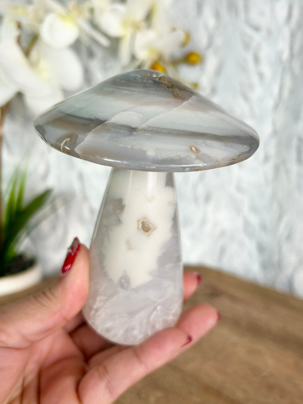 Agate Mushroom