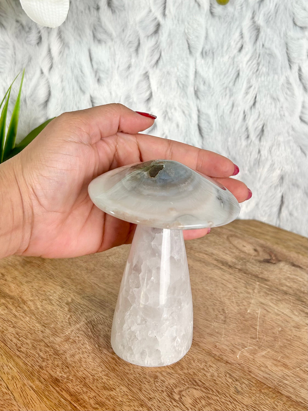 Agate Mushroom