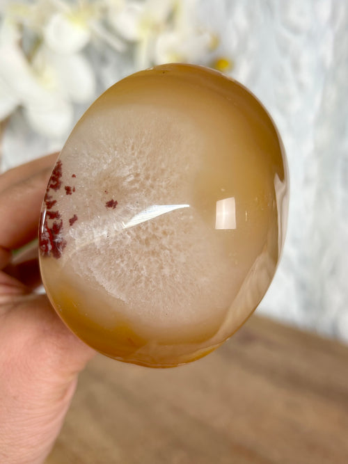 Agate Mushroom