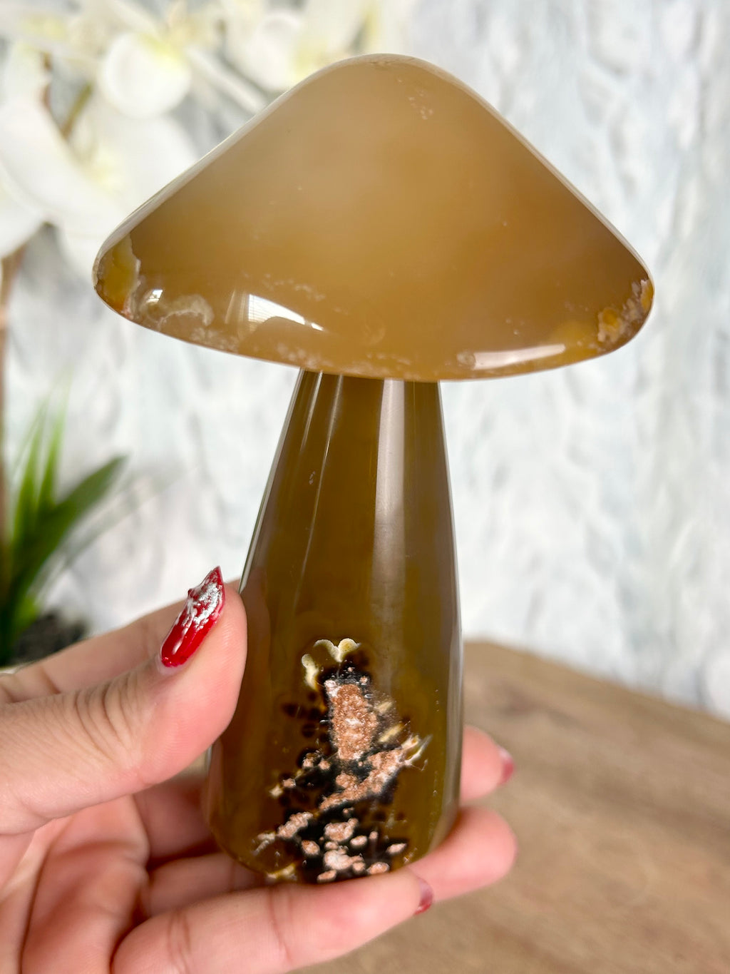 Agate Mushroom